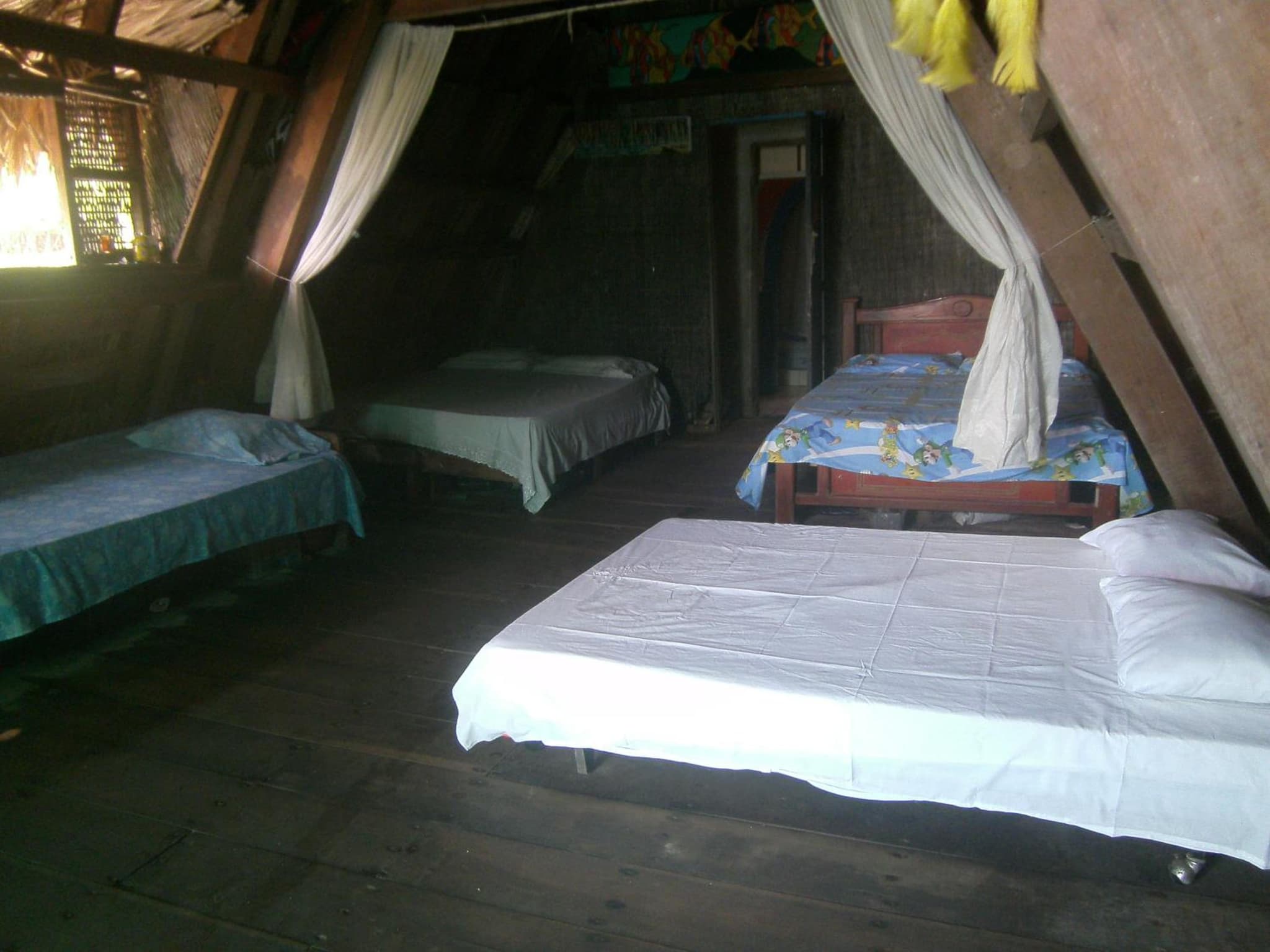 Ecohotel Arte y Aventura photo 6