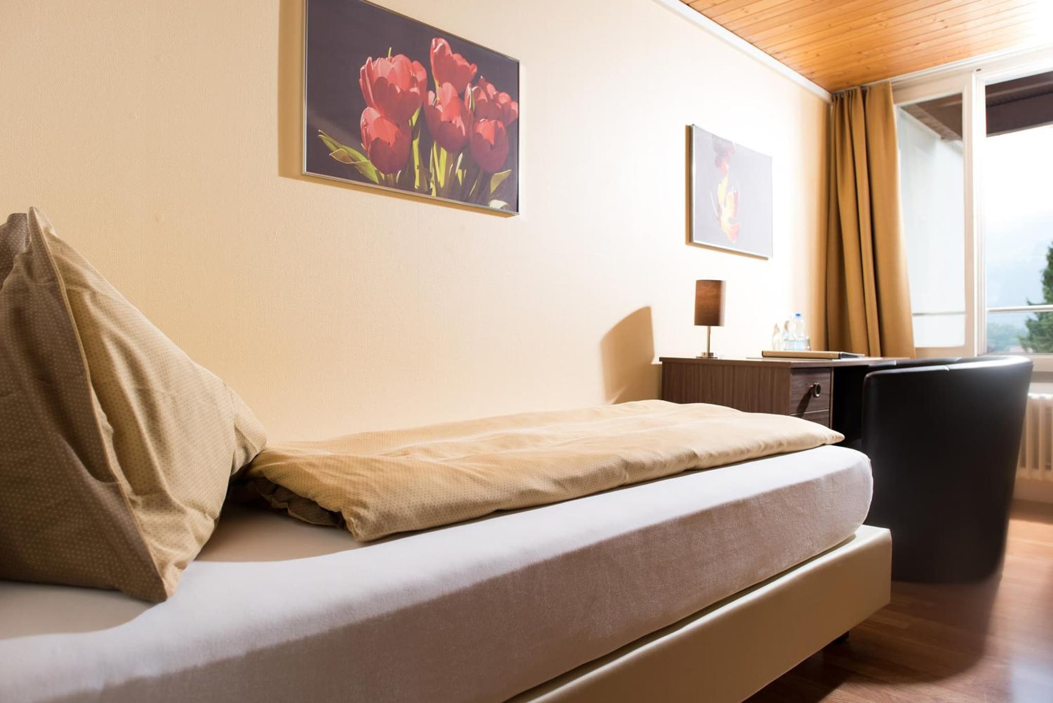 Jungfrau Hotel photo 6