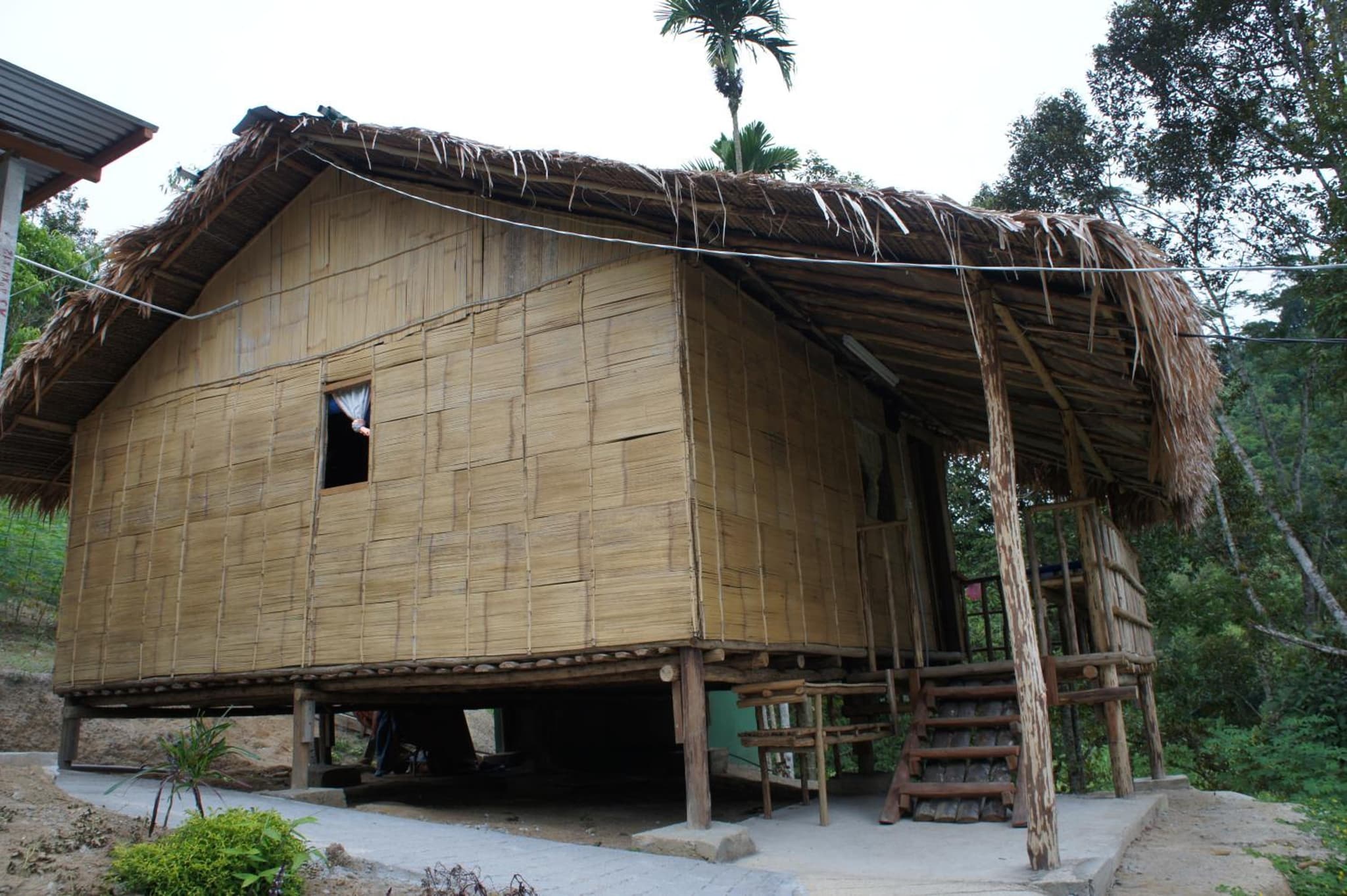 Rain Forest Inn