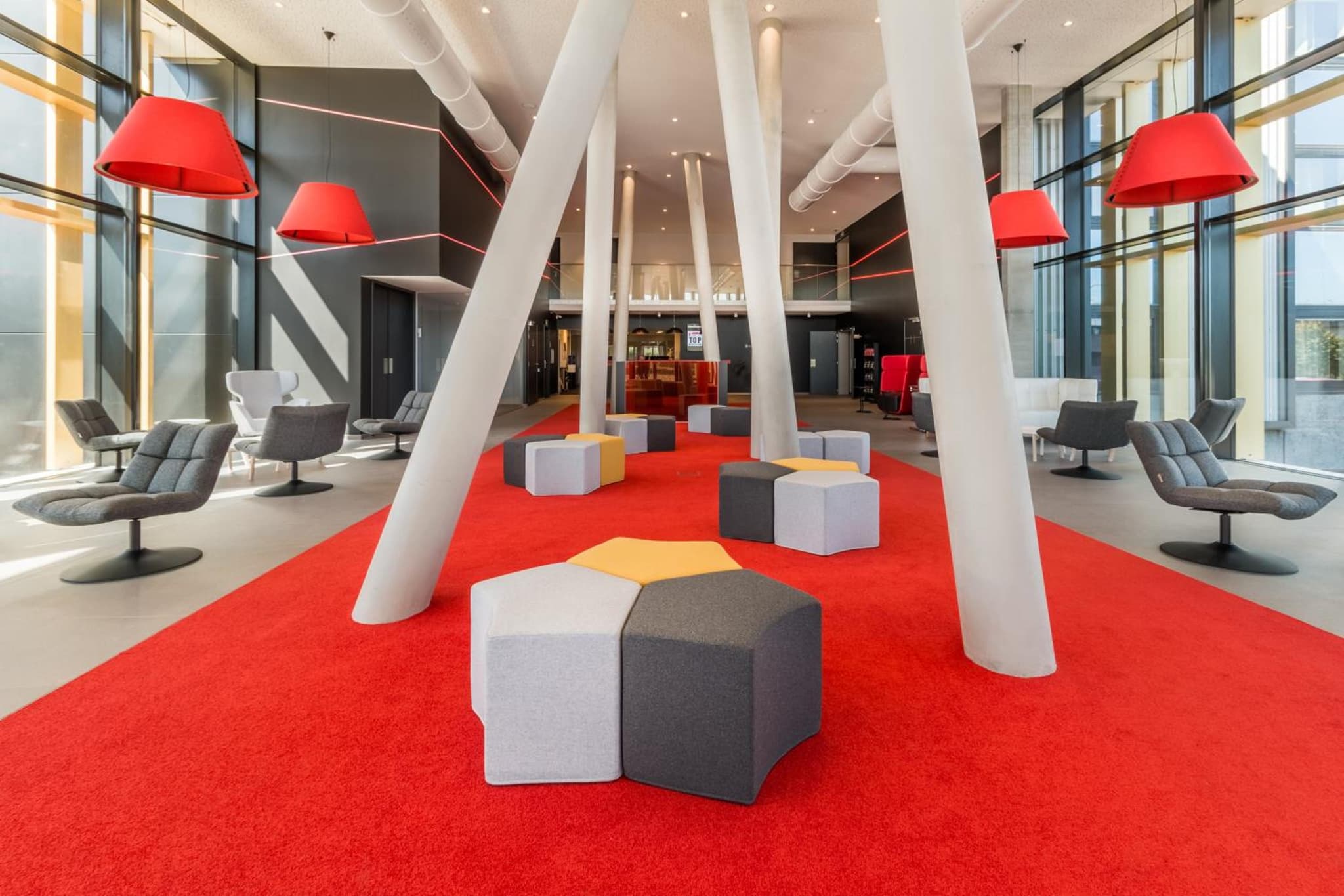 recepcion & lobby