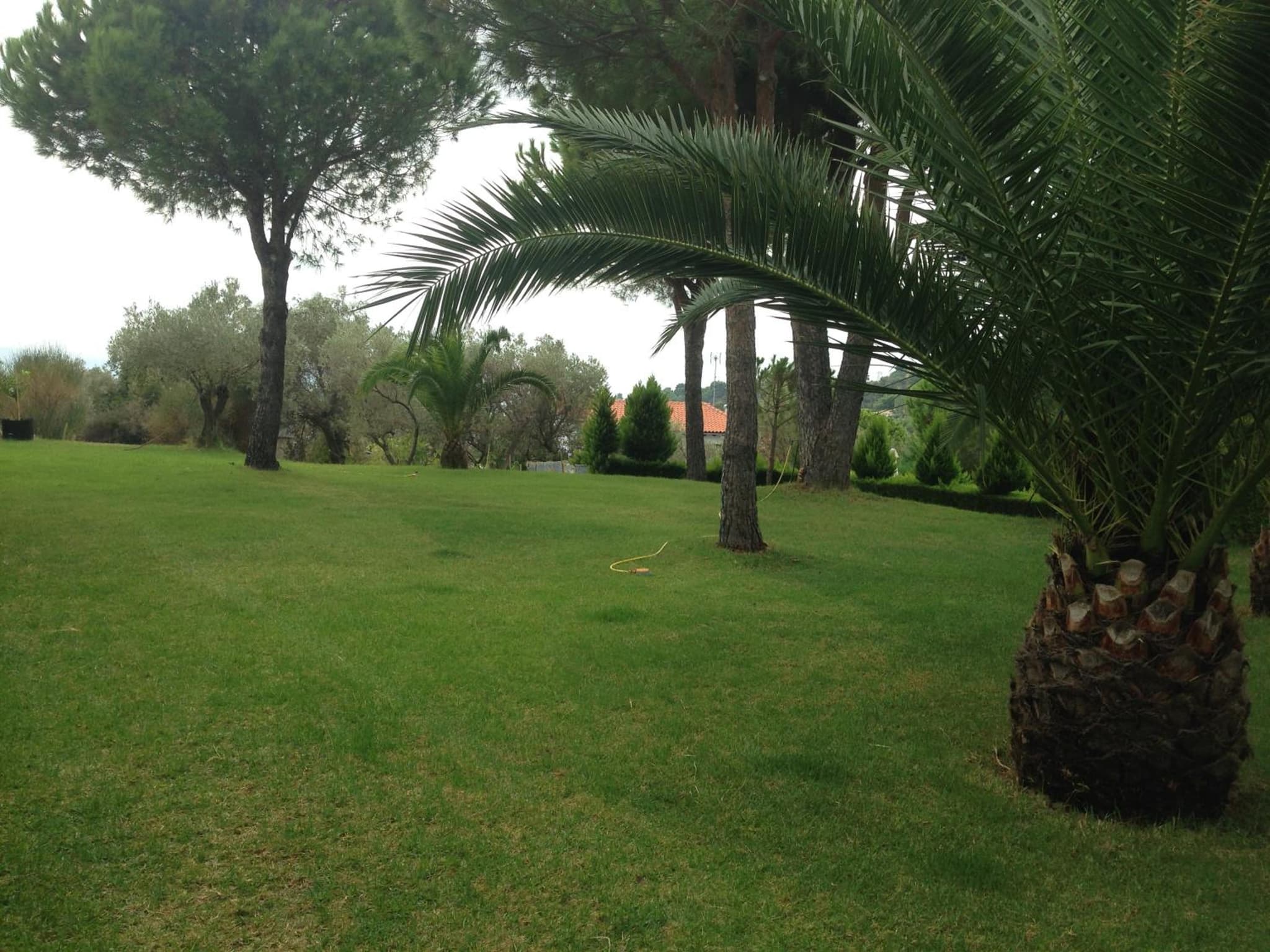Villa POLYTIMI photo 4