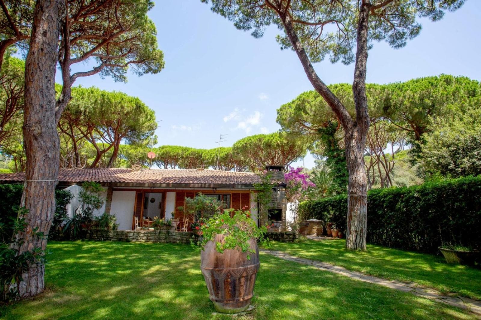 Villa Ancora photo 5