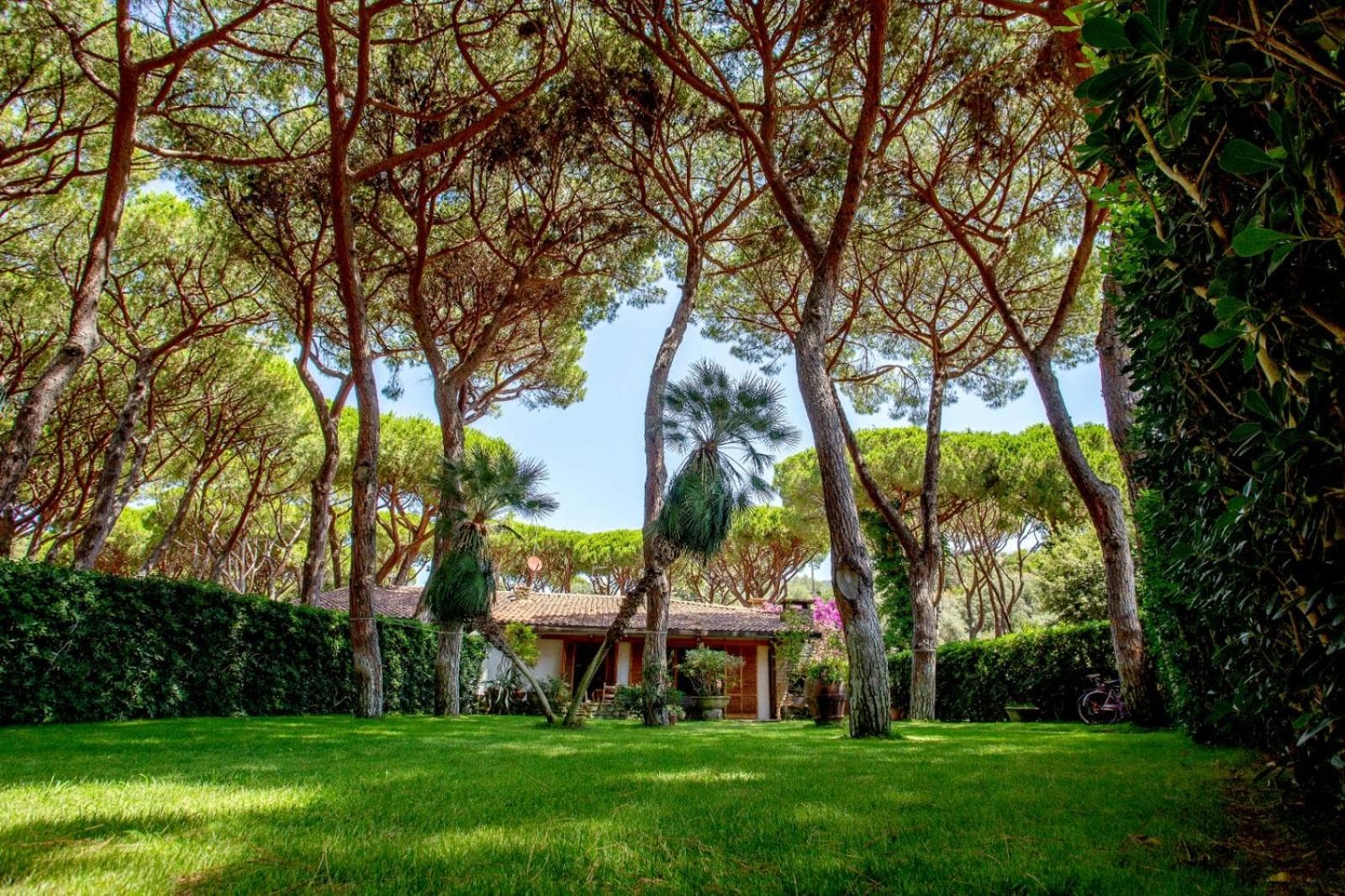 Villa Ancora photo 7