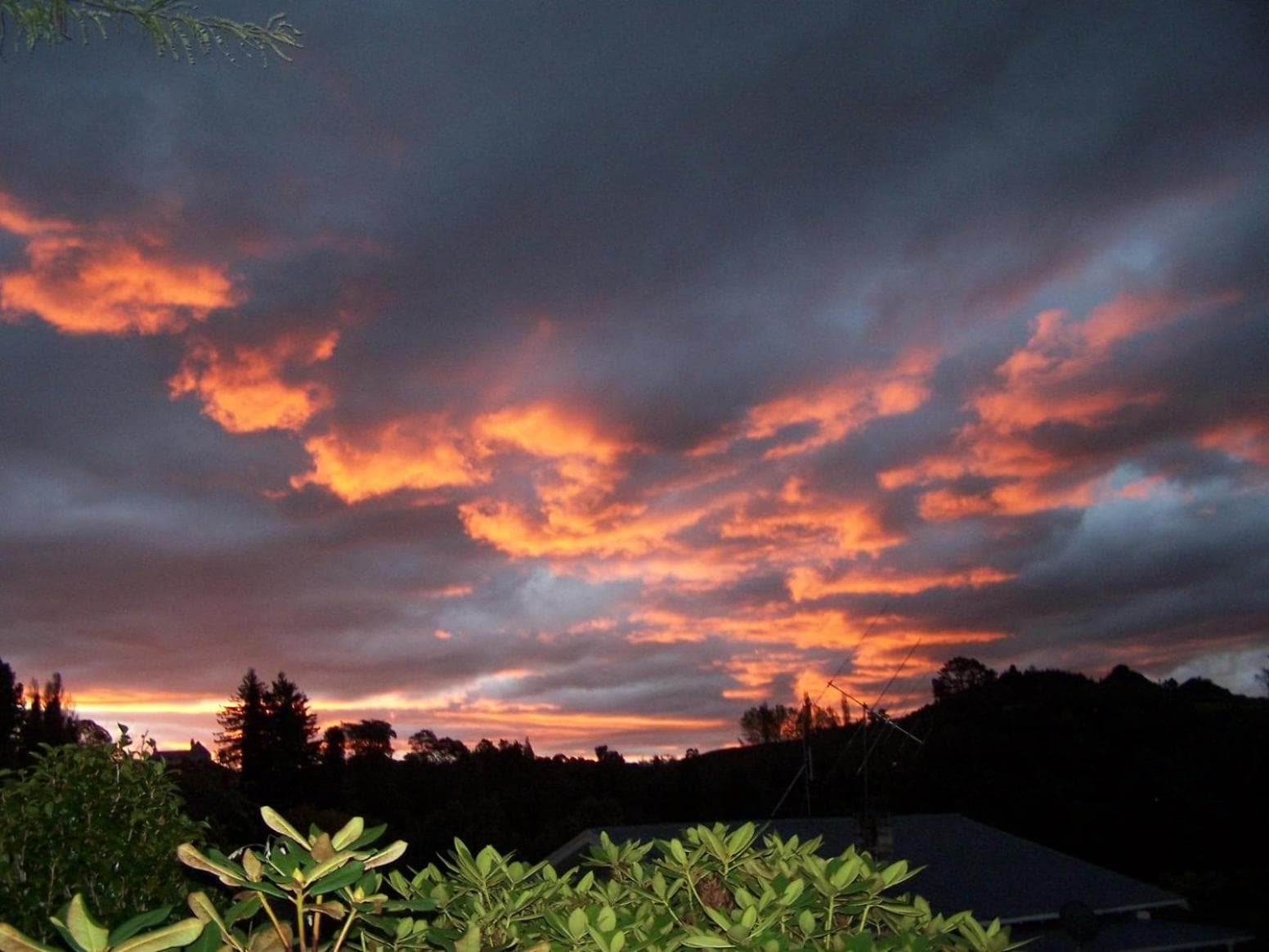 Waitomo Caves Guest Lodge photo 2