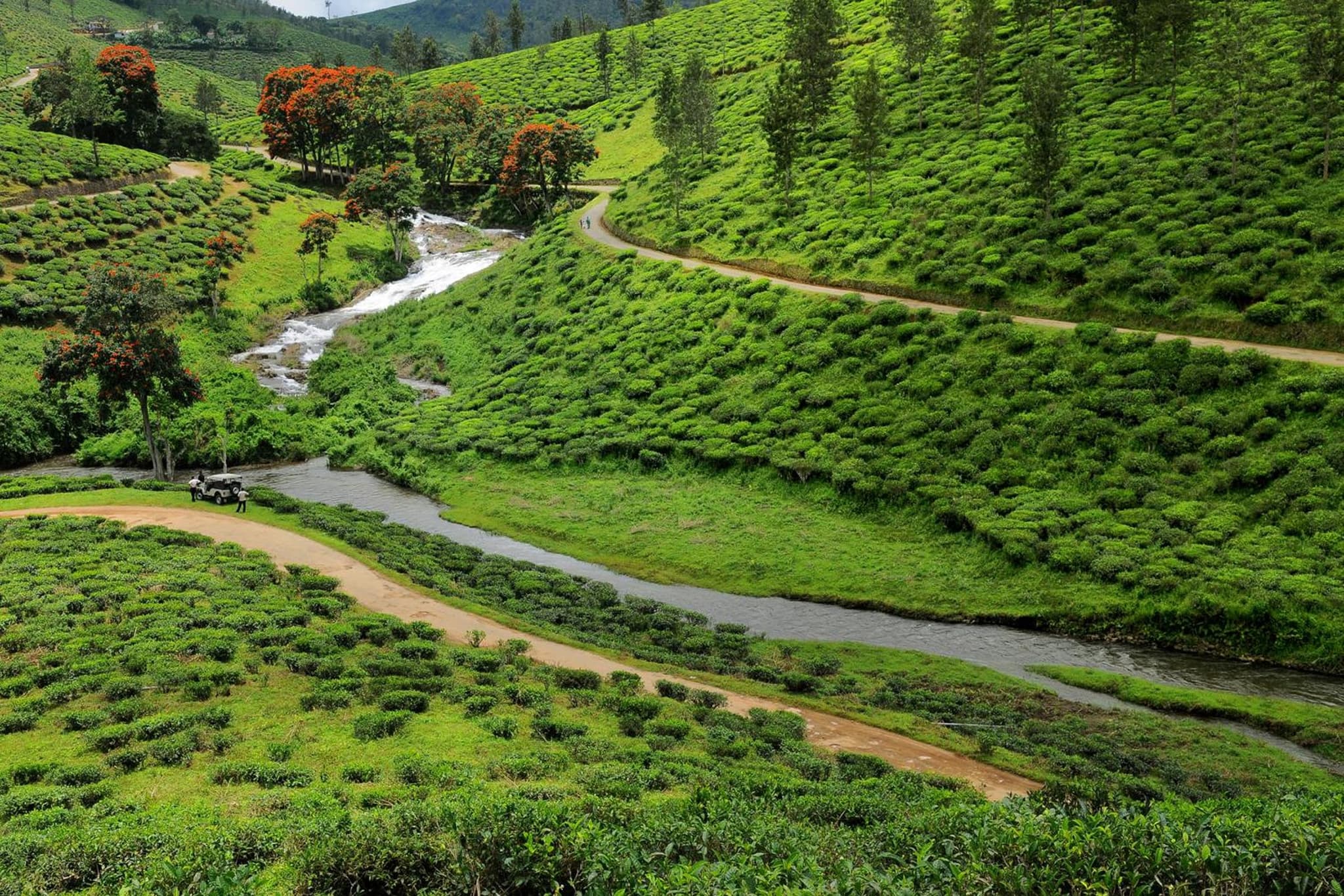 Cardamom County by Xandari photo 6