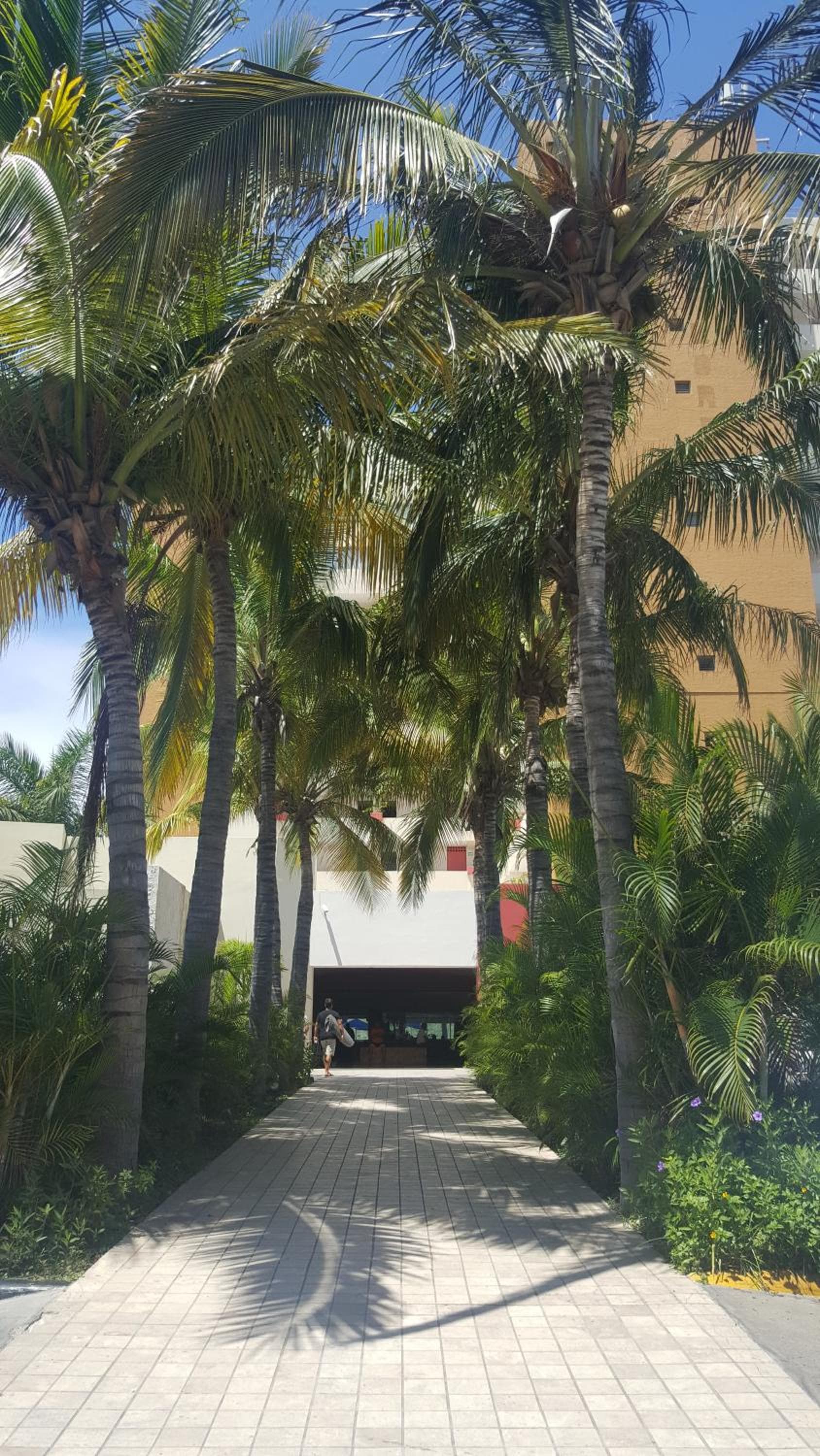Las Flores Beach Resort photo 8