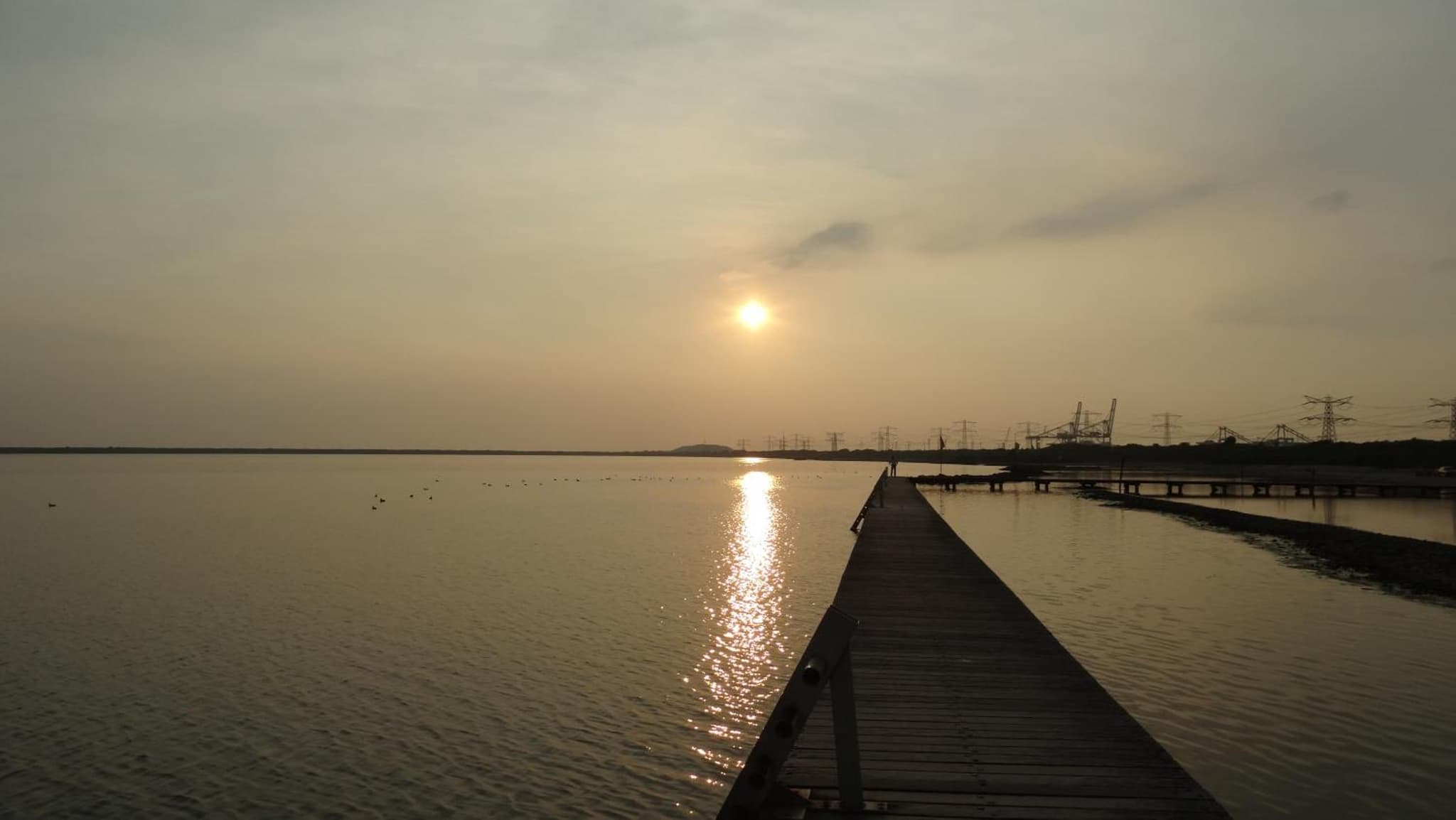 Beach Hotel Oostvoorne photo 8
