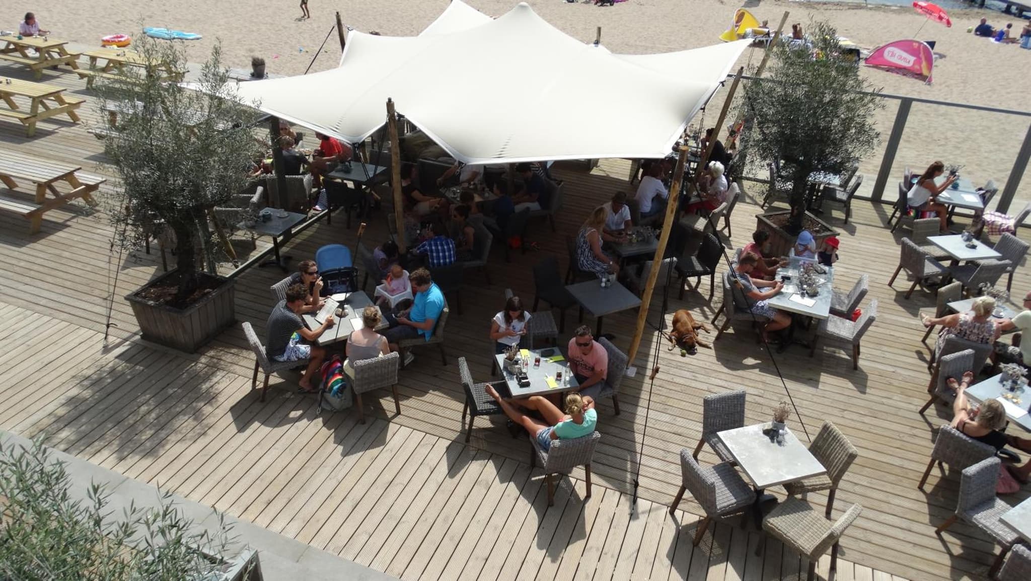 Beach Hotel Oostvoorne photo 4