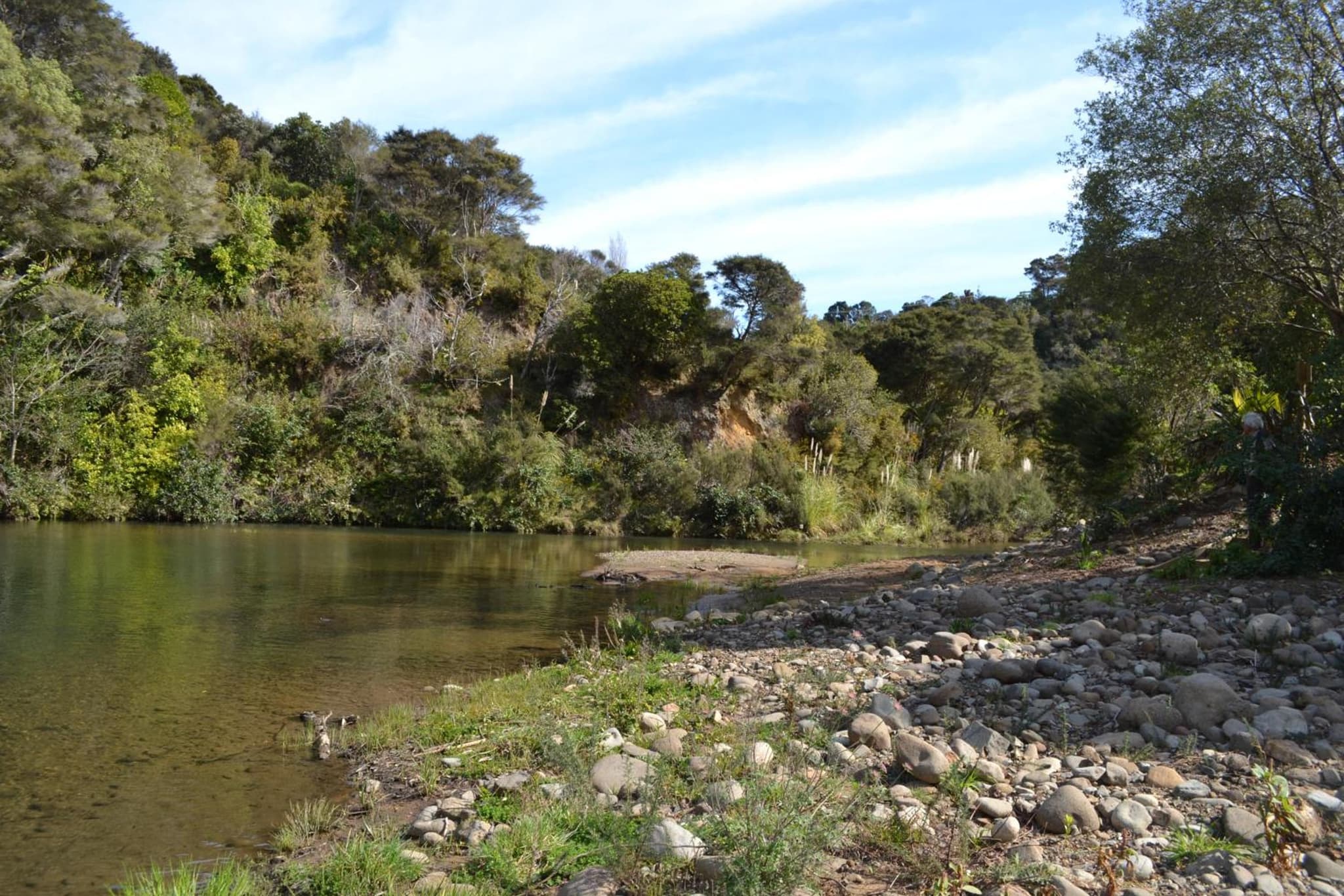 Te Mata Lodge photo 3