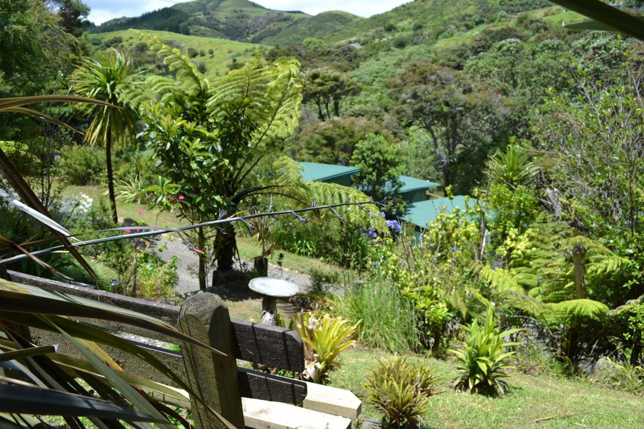Te Mata Lodge photo 9