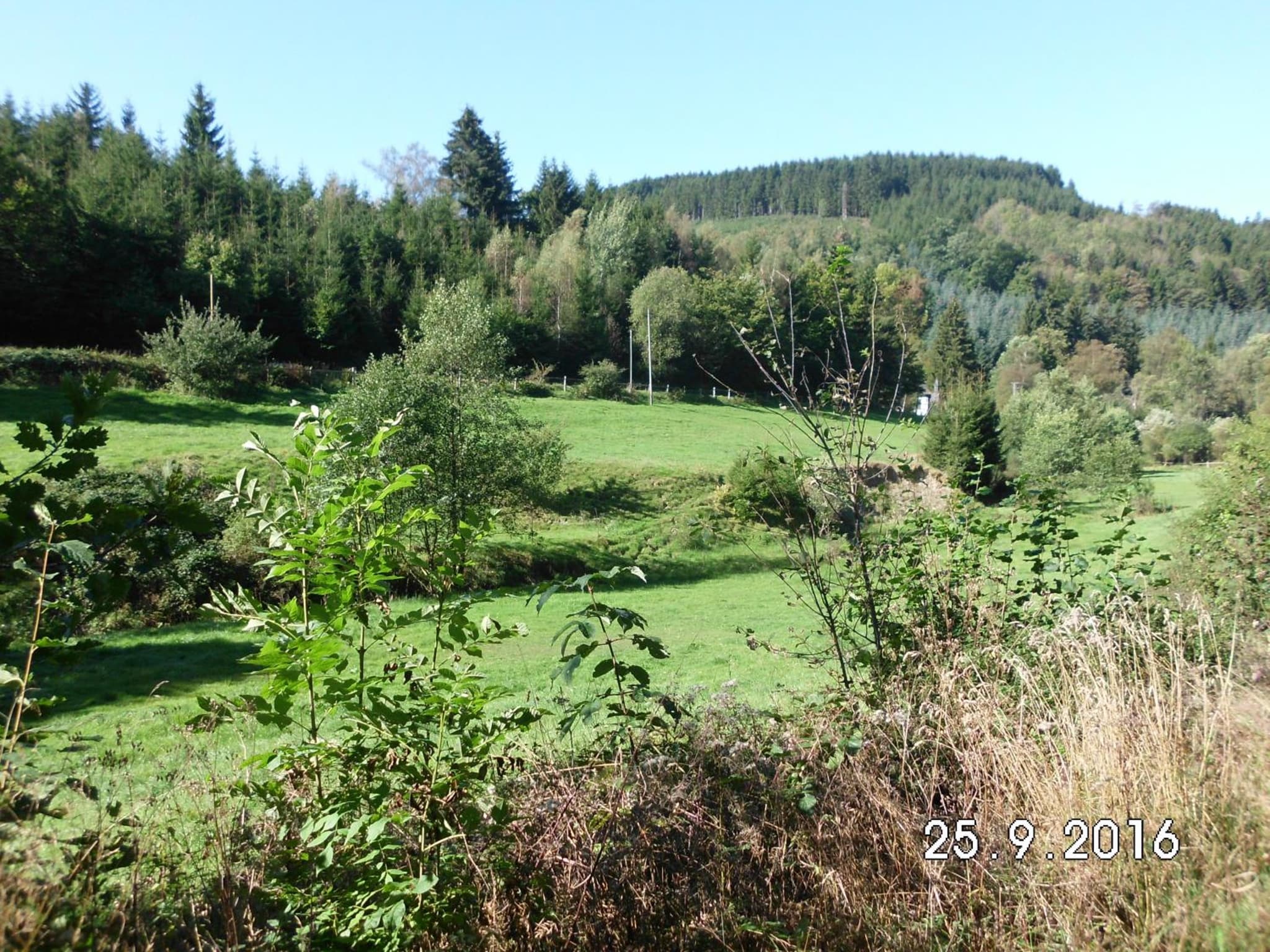 Pension Sonnenschein photo 2
