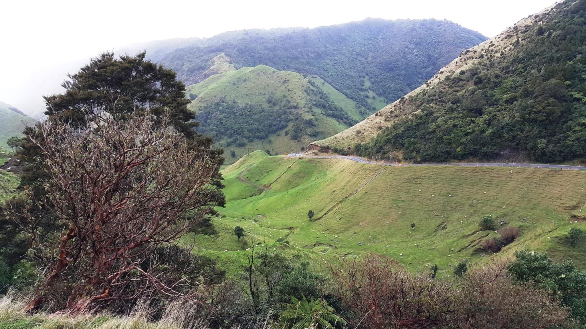 Bella Vista Gisborne photo 4