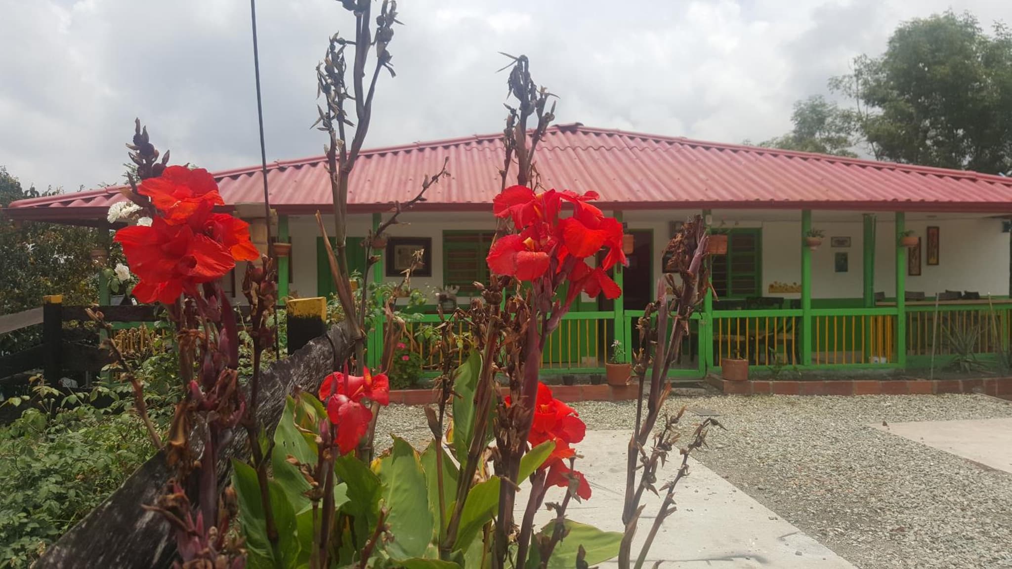Hostal y Camping Los Girasoles photo 7