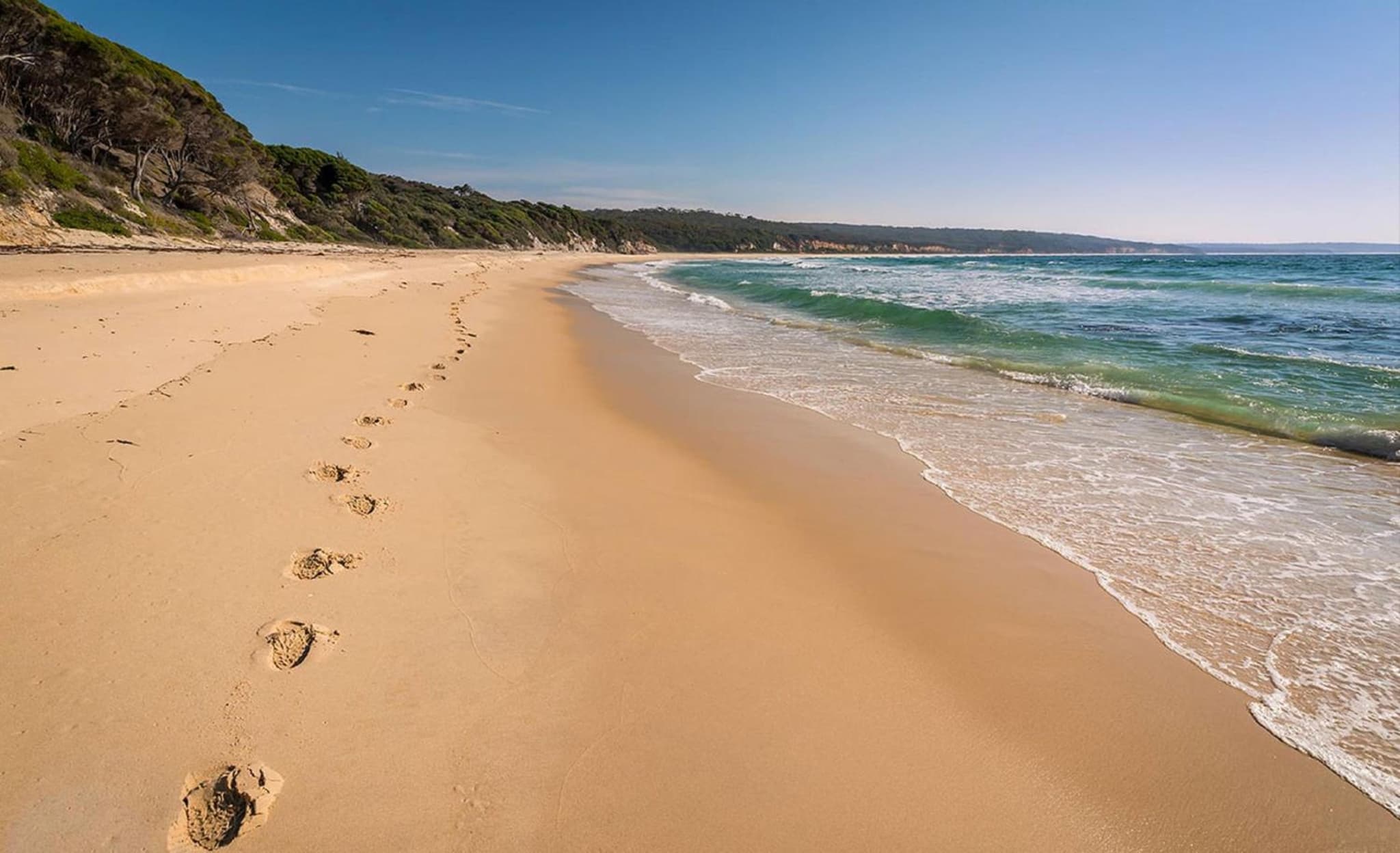 Catlins Newhaven Holiday Park photo 7