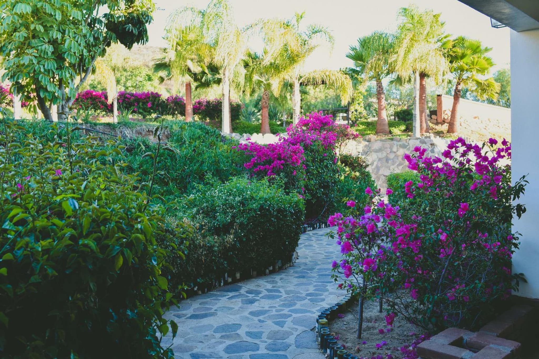 Hacienda Guadalupe Hotel photo 4