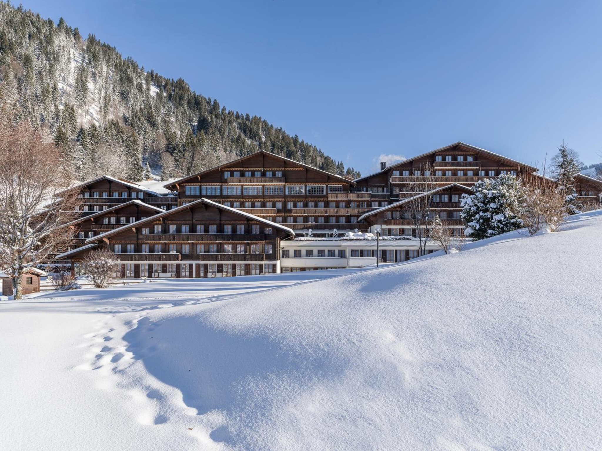HUUS Gstaad photo 3