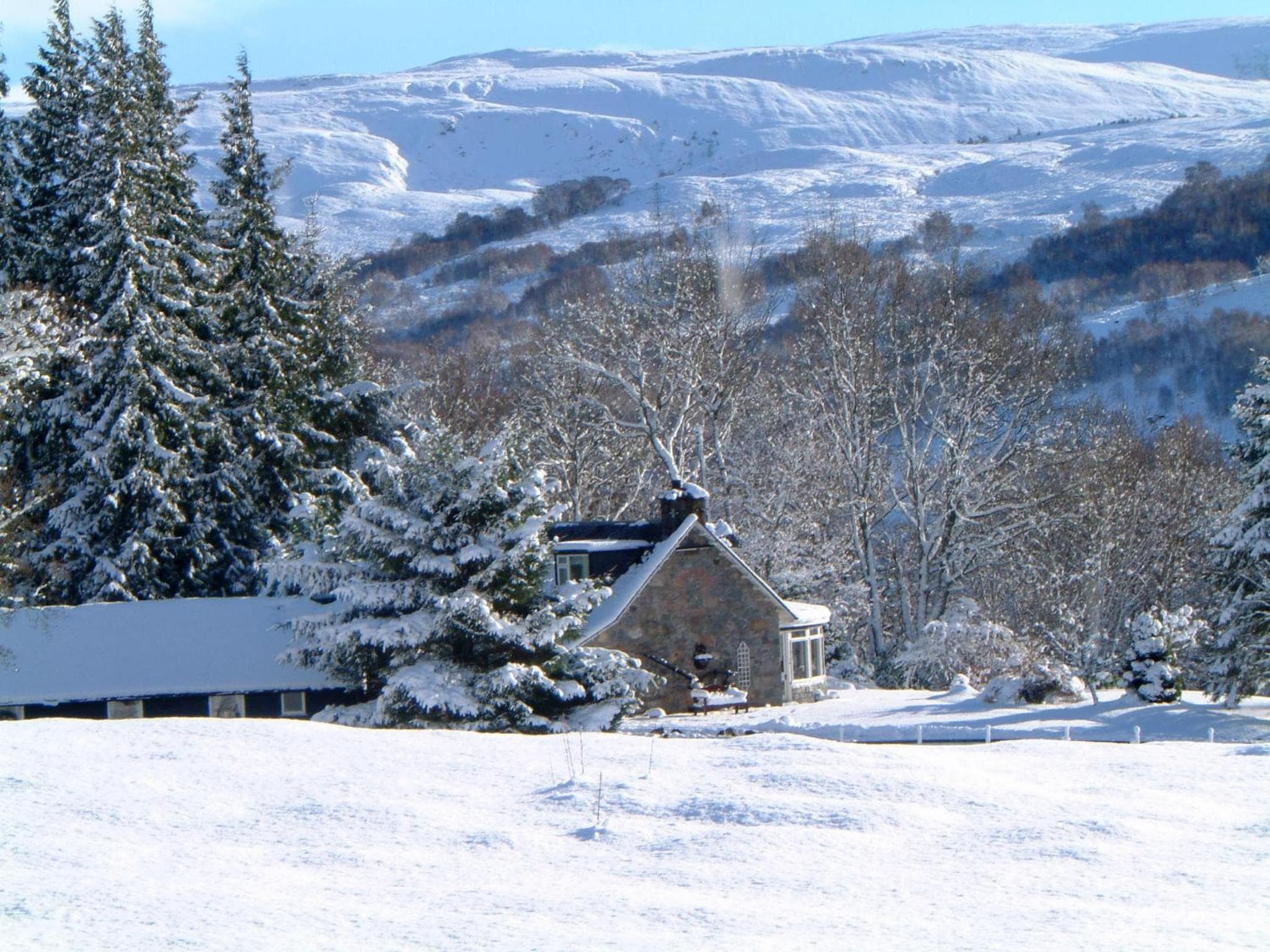 Ardgarry Farm photo 7