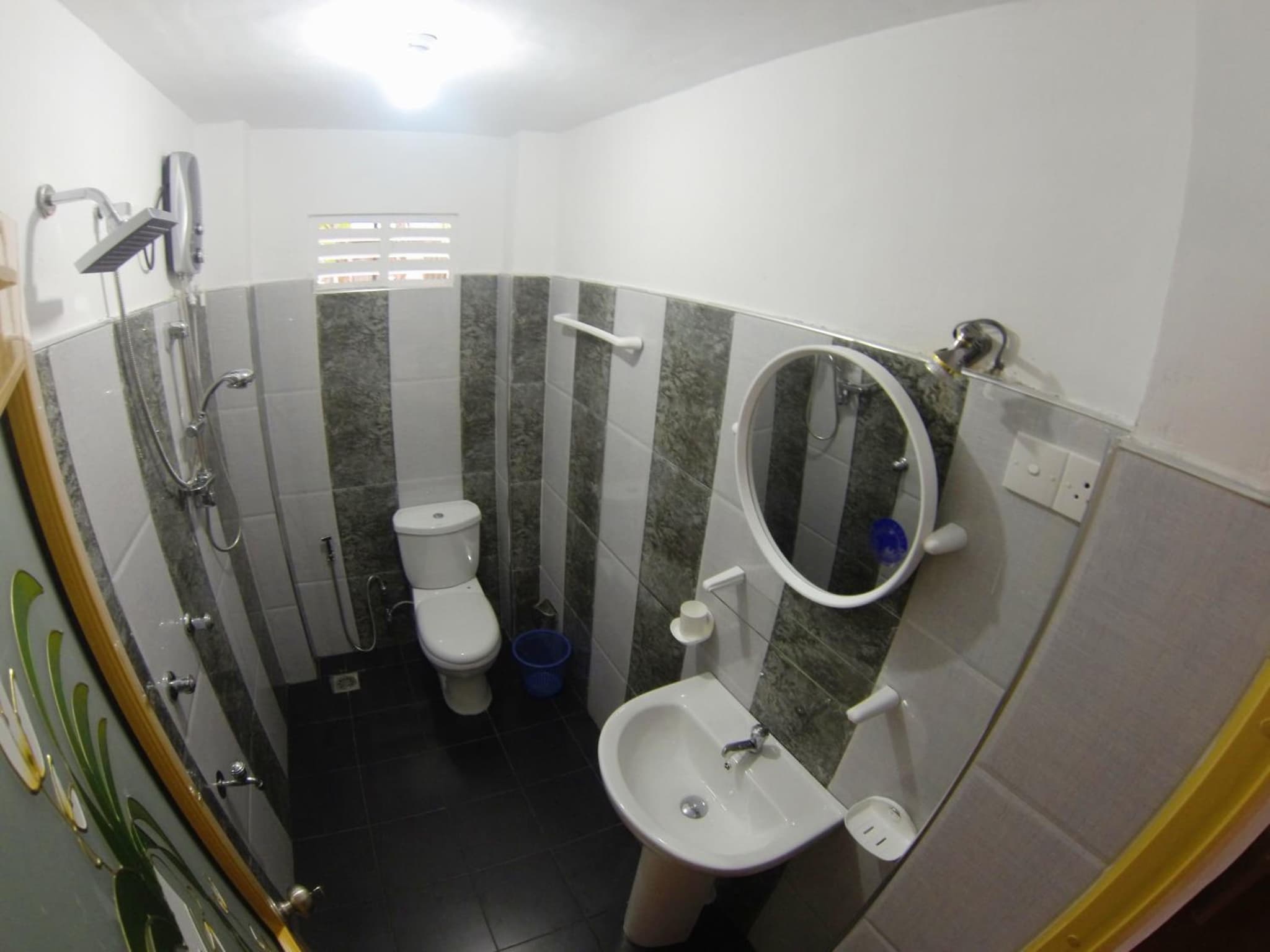 Dilan Guest photo 5