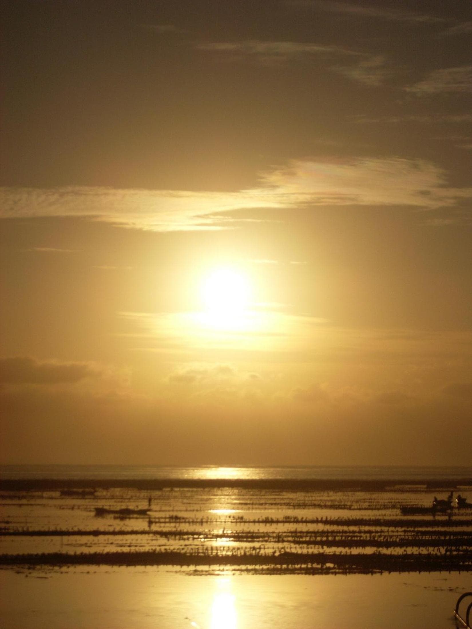 Dream Beach Cottages photo 6