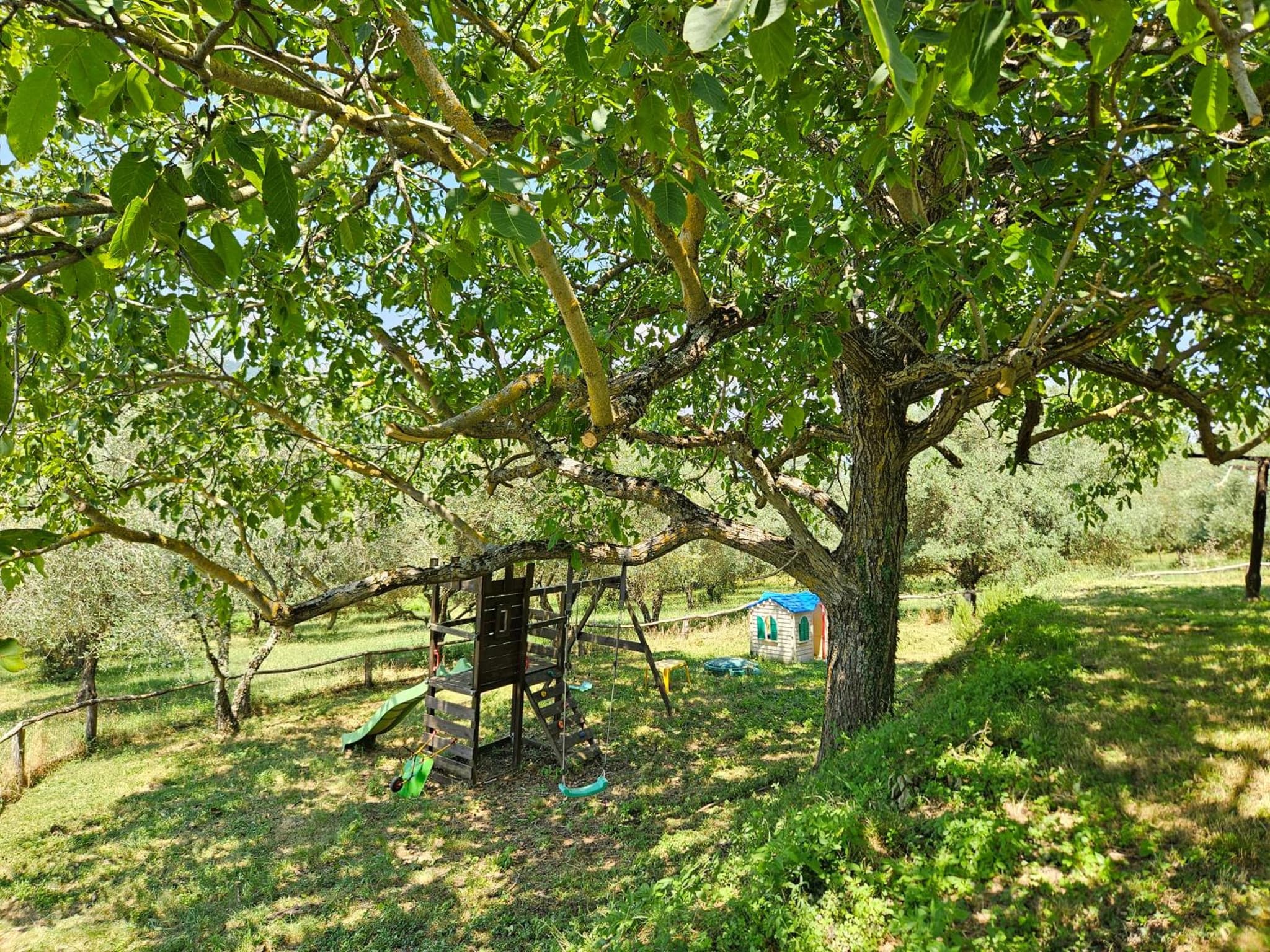 Podere le Muricce photo 9