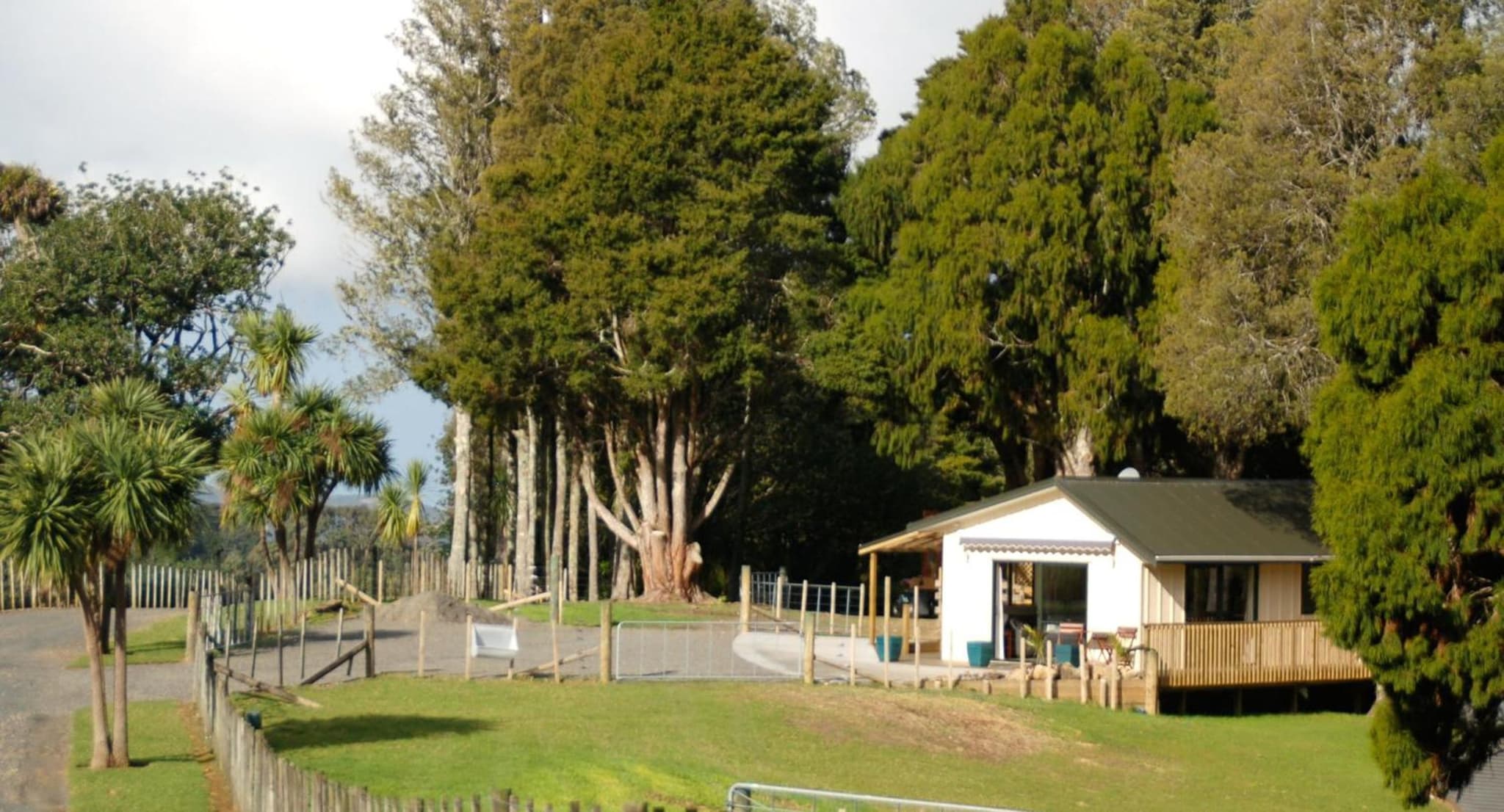 Kohinui Glade Holiday Cottage photo 3