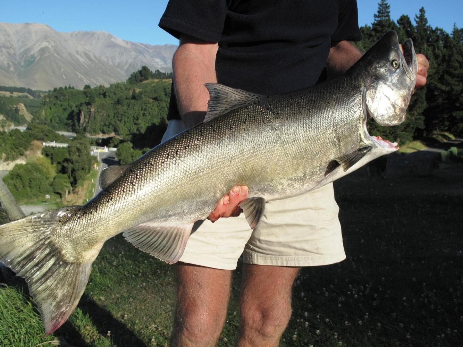 Mt Hutt Lodge photo 7