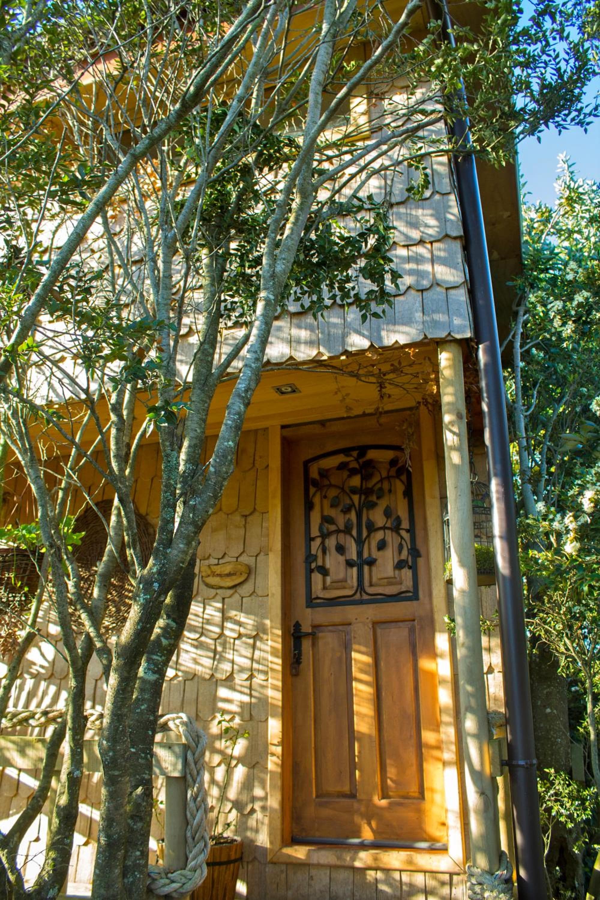 La Casa Del Árbol De Chiloé photo 9