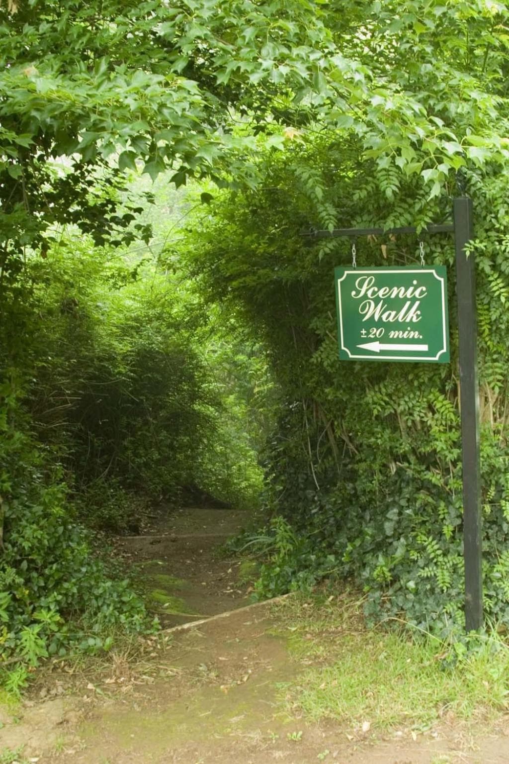 Hogsback Arminel Self catering Cottages photo 3