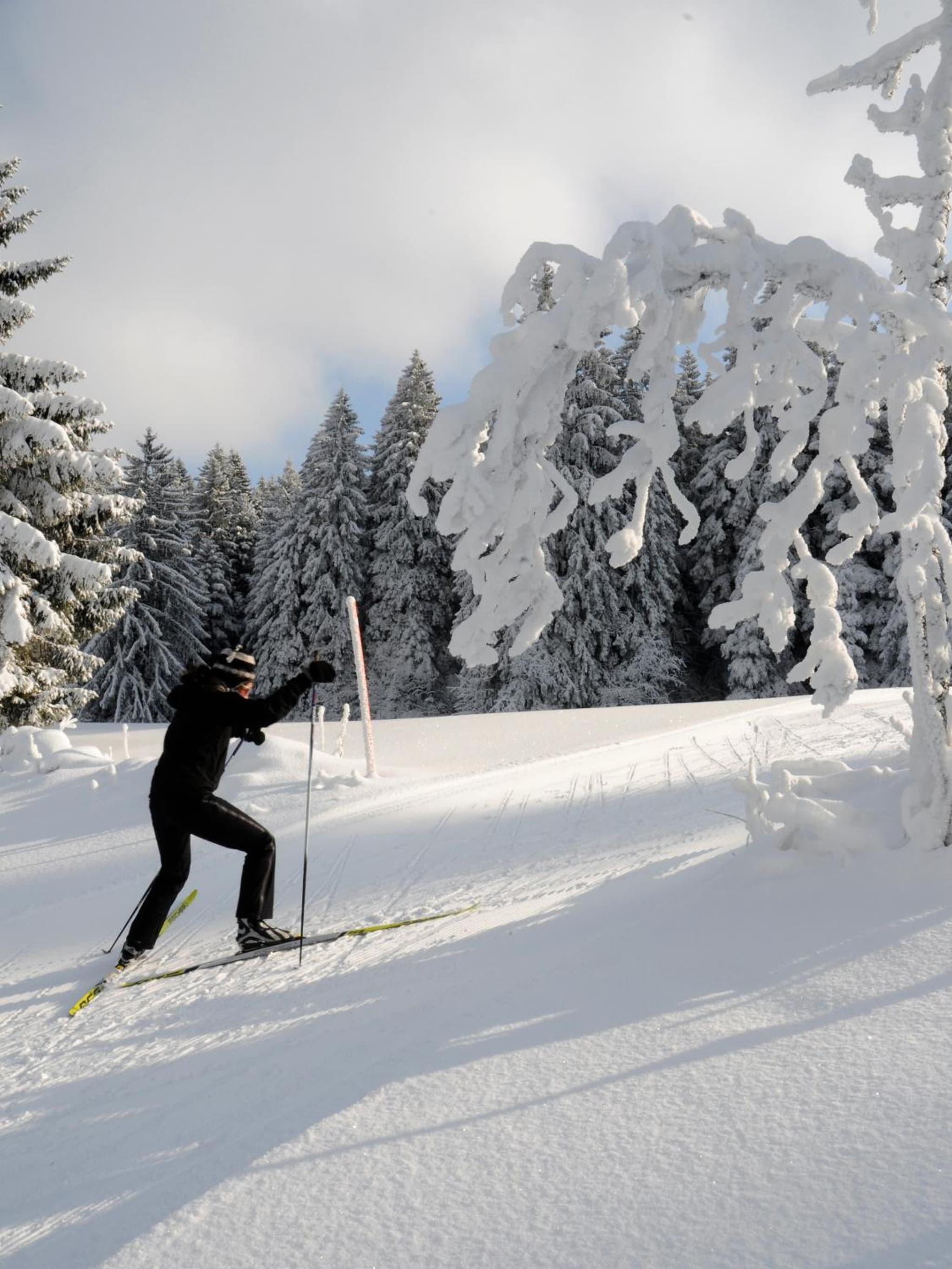 Hôtel de la Truite - Vallée de Joux photo 3