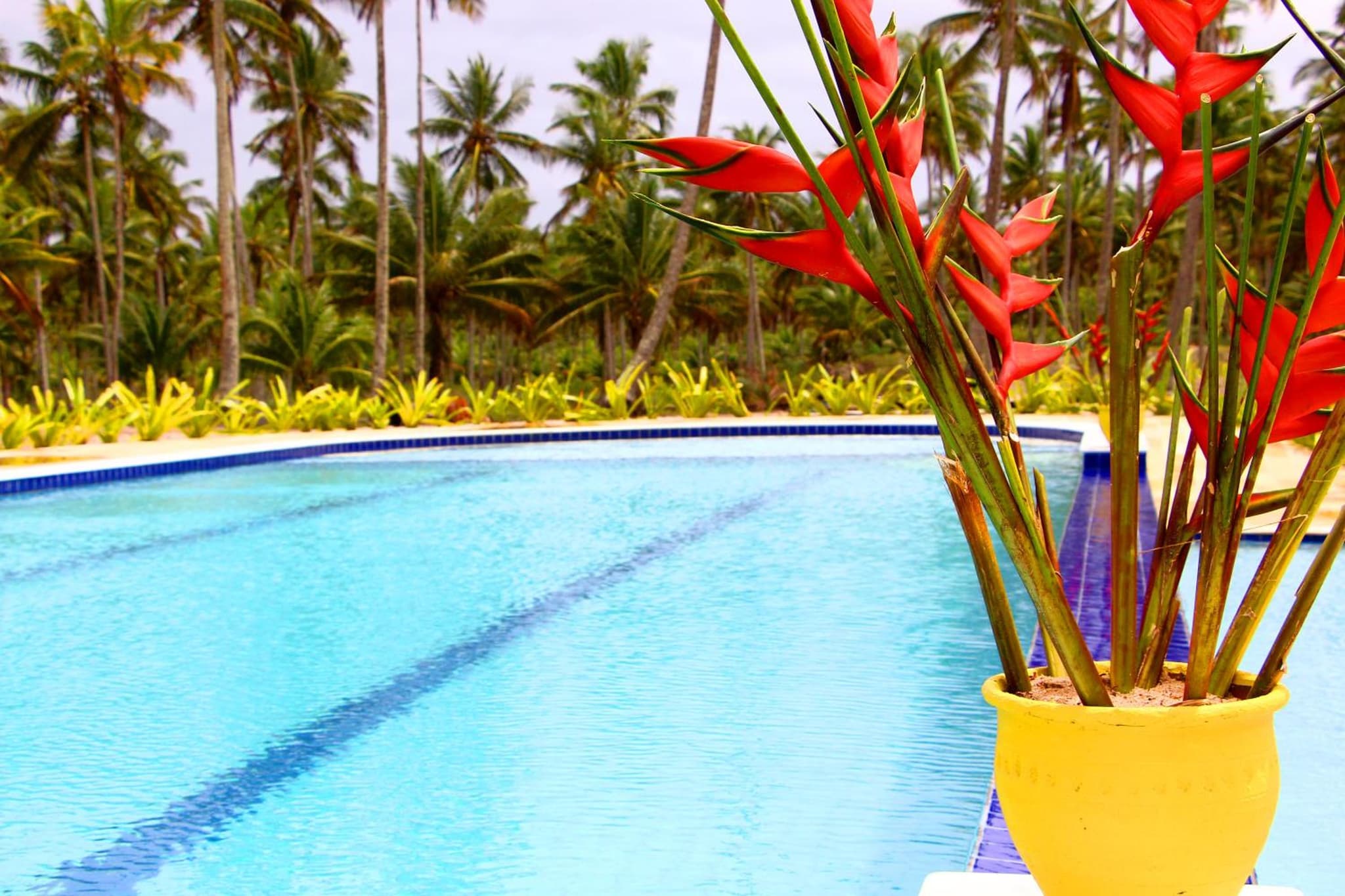 Hotel Pousada Makaira Beach photo 2