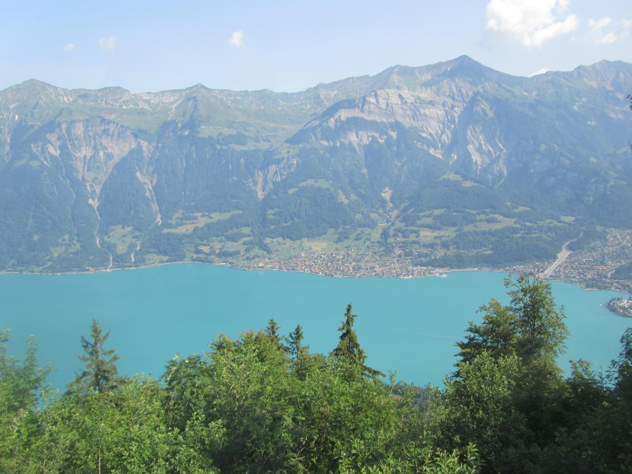 Hotel Brienzerburli photo 8
