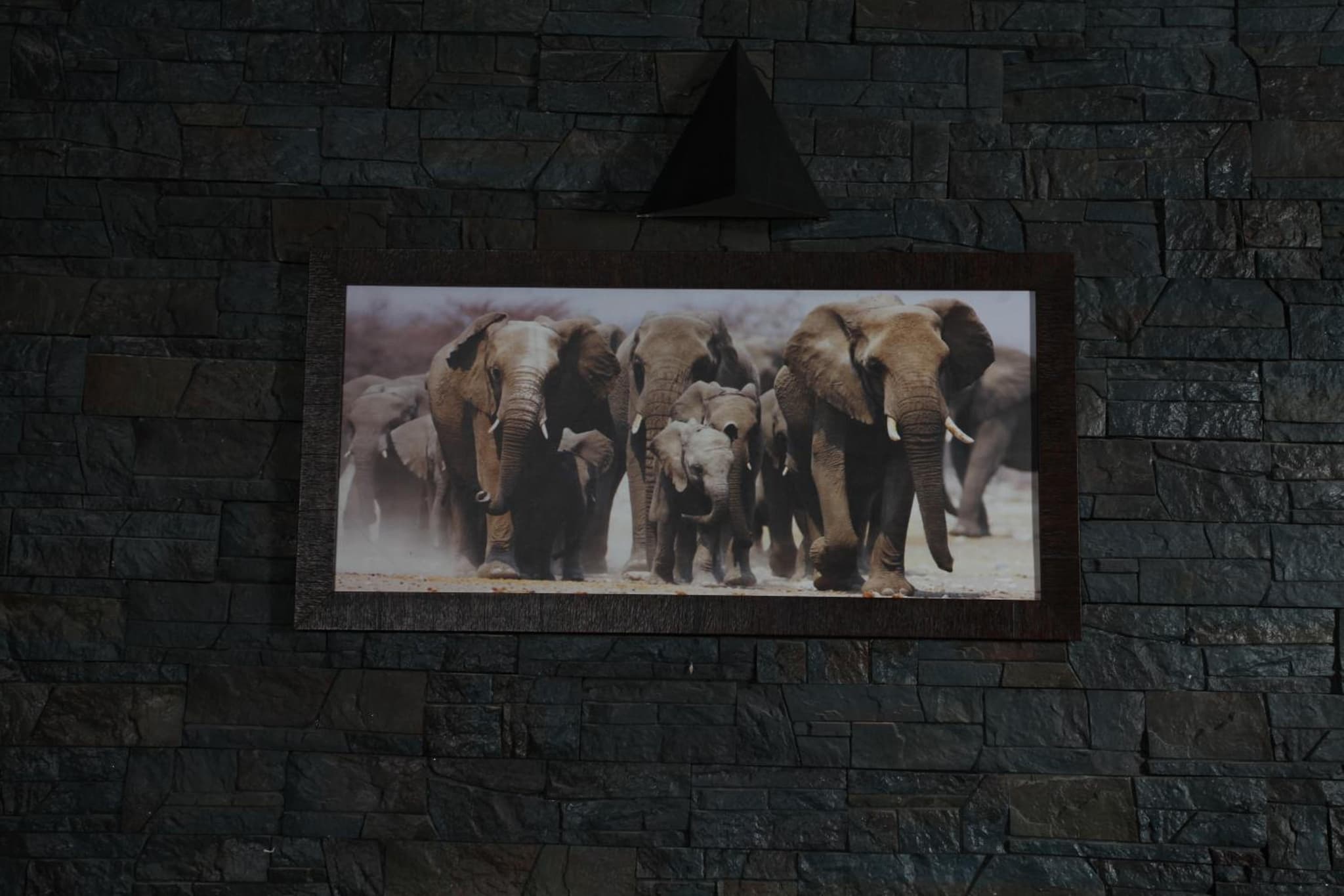 Ayaana Boutique Hotel photo 4