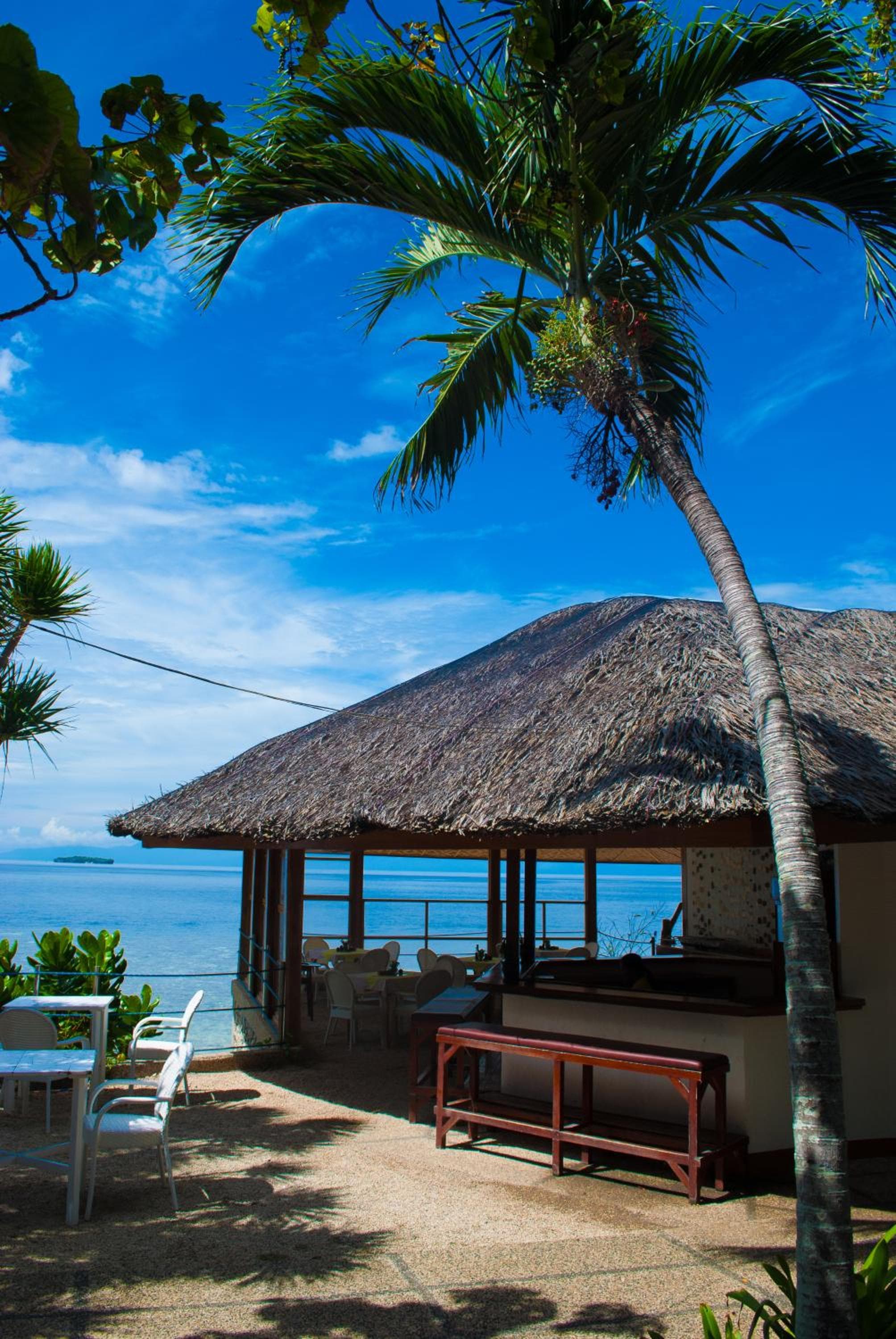 Quo Vadis Dive Resort photo 6