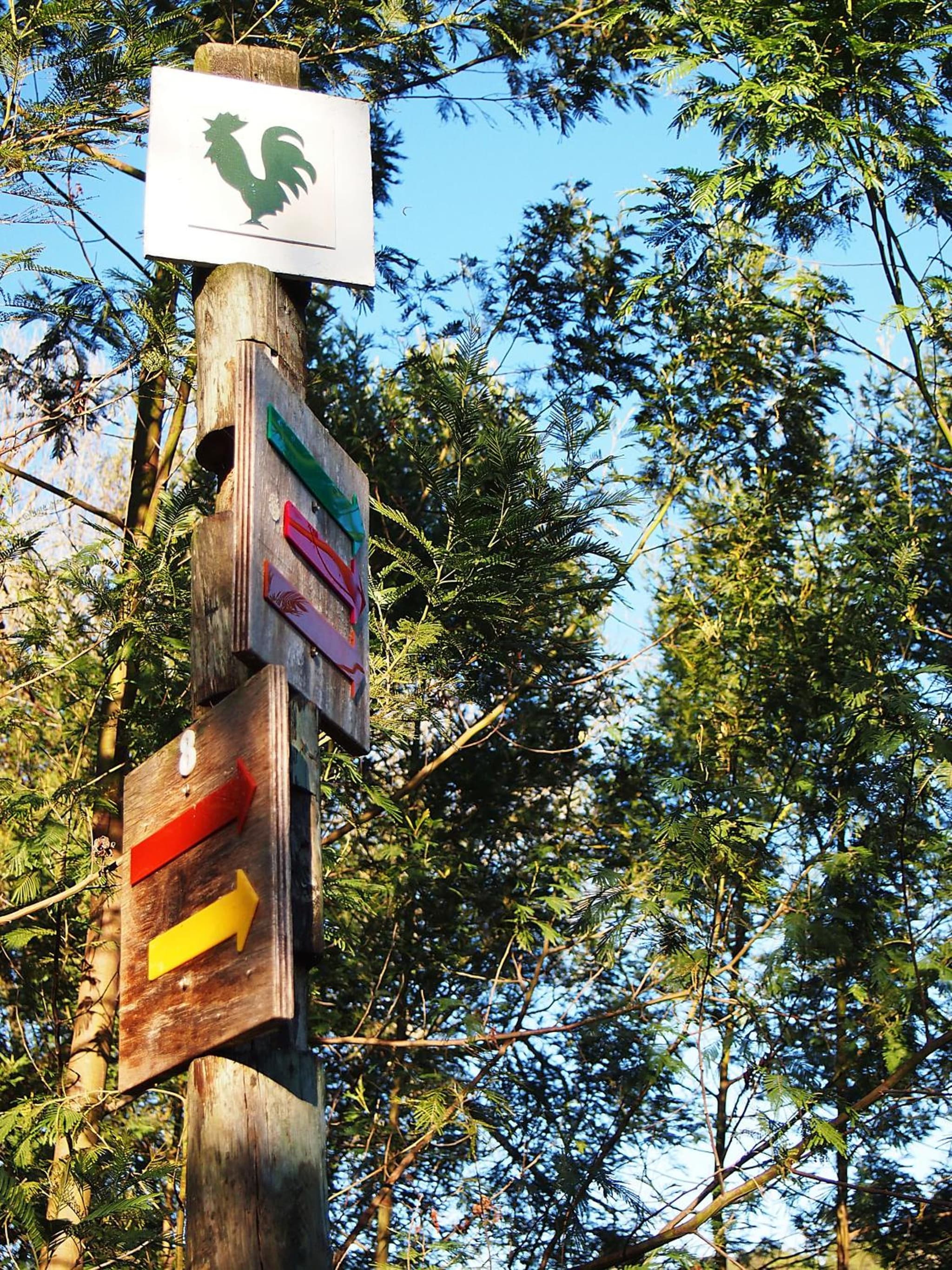Eight Bells Mountain Inn photo 8