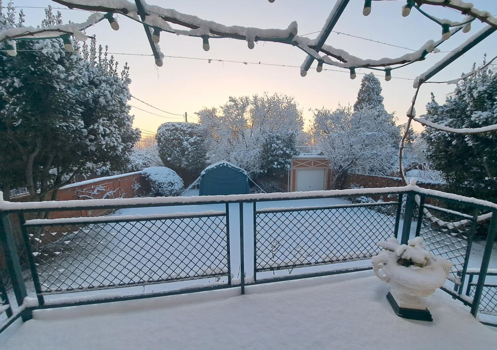 la villa des chats photo 5