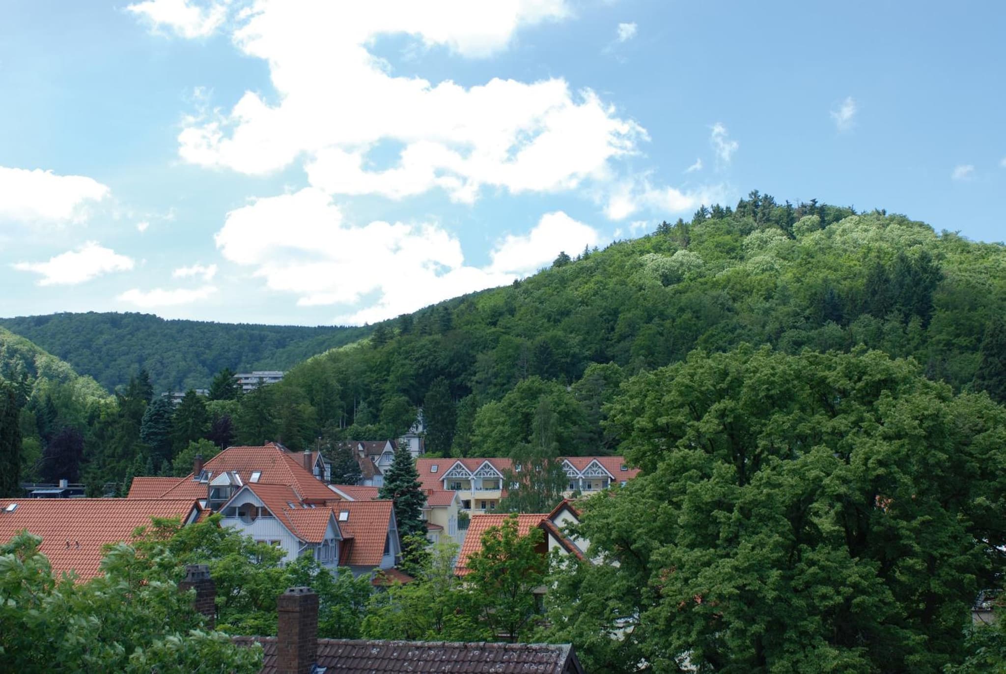 Plumbohms ECHT-HARZ-HOTEL photo 3