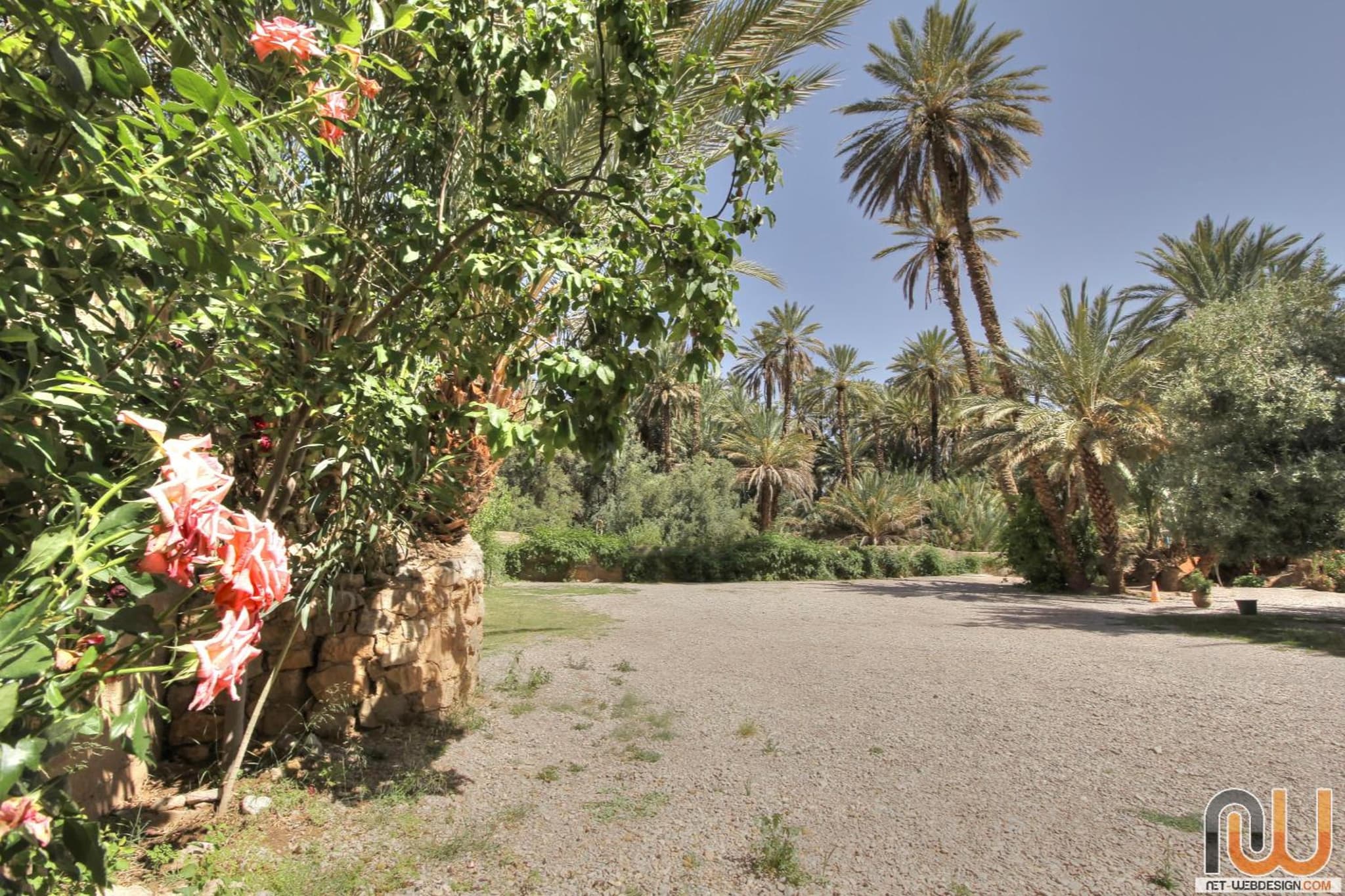 RIAD Camping ATLAS photo 7
