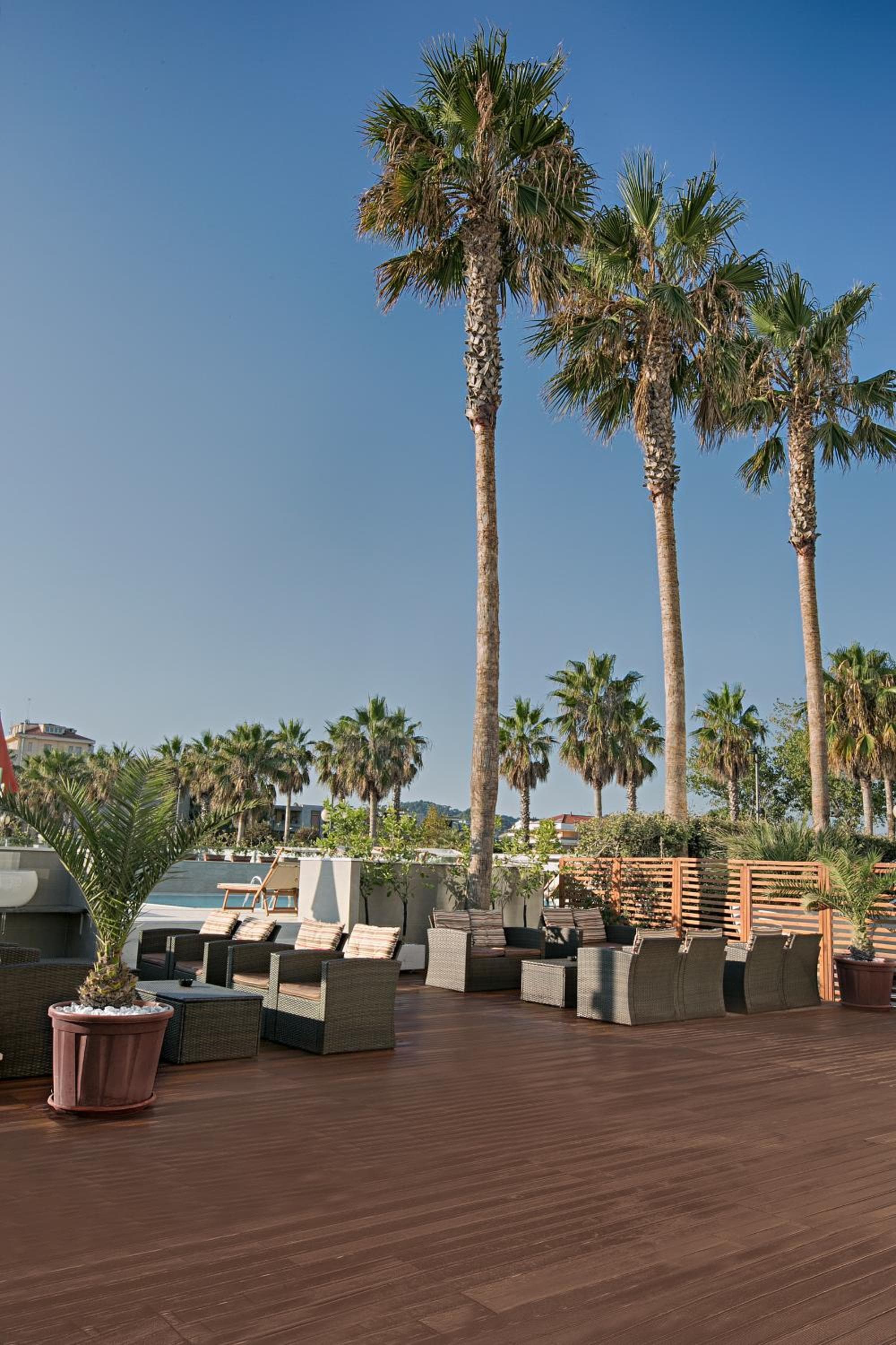 Sea Lion Hotel photo 6