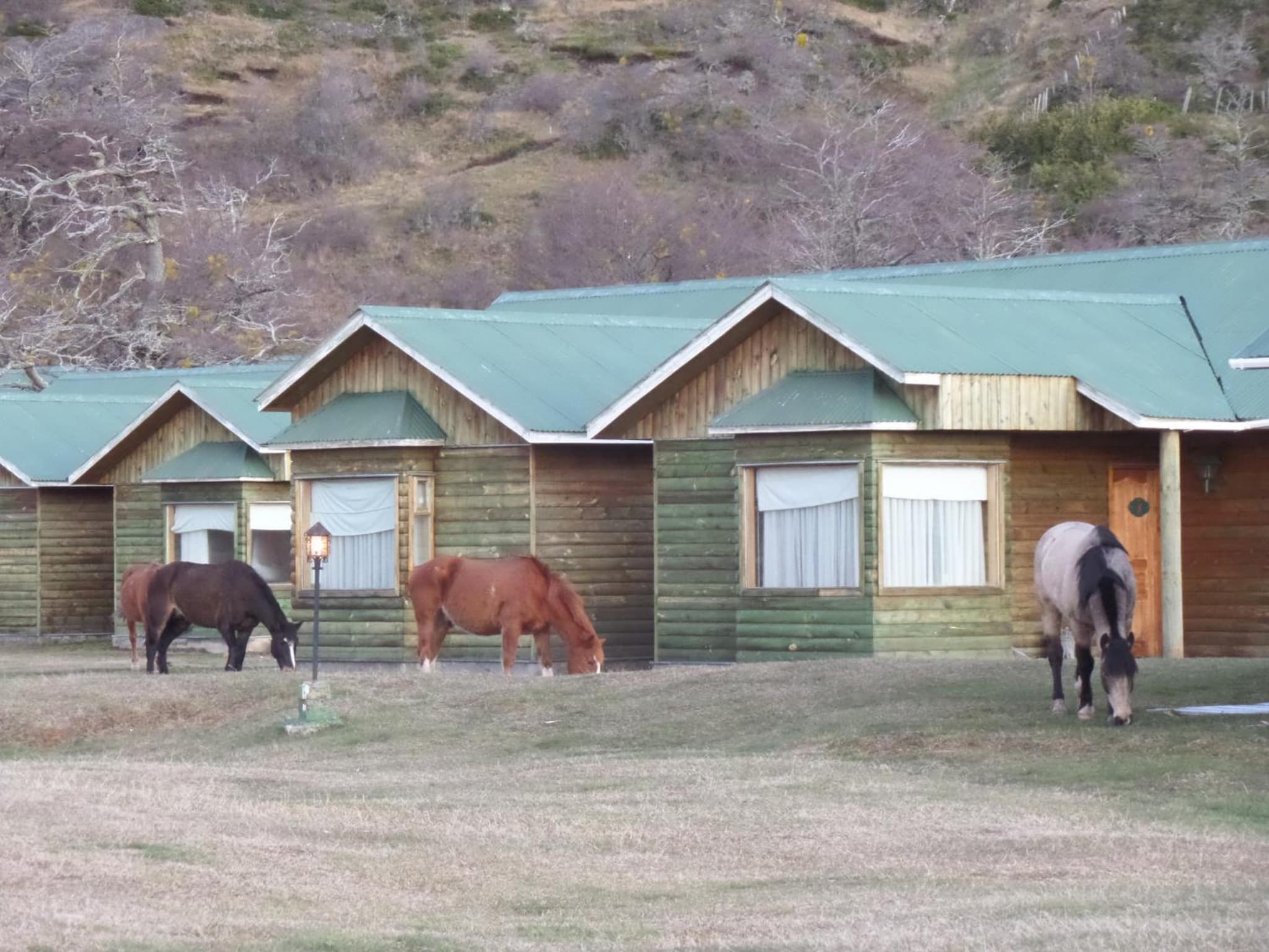 Hotel del Paine photo 8