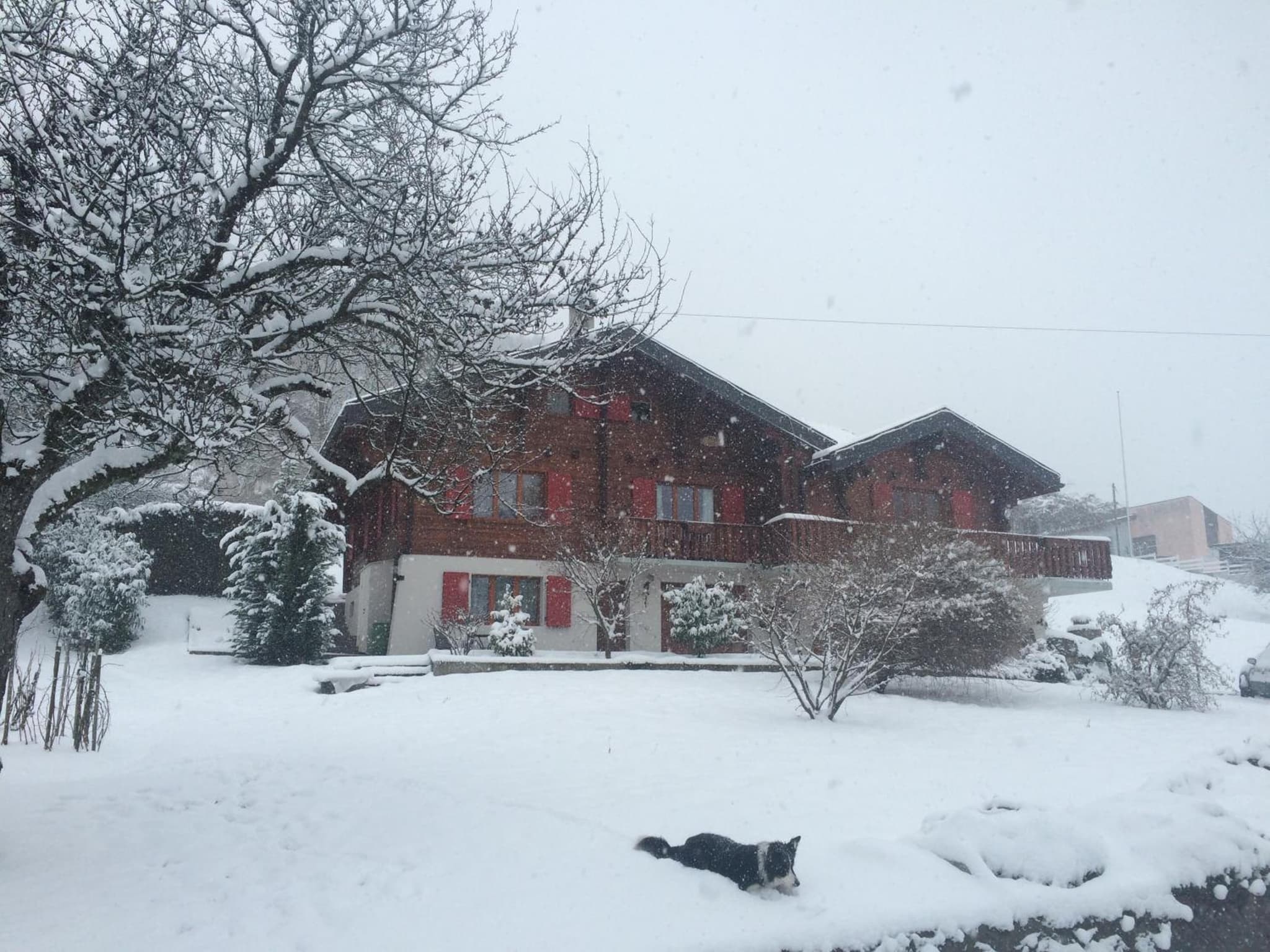 La Bergerie - chalet Alice photo 9