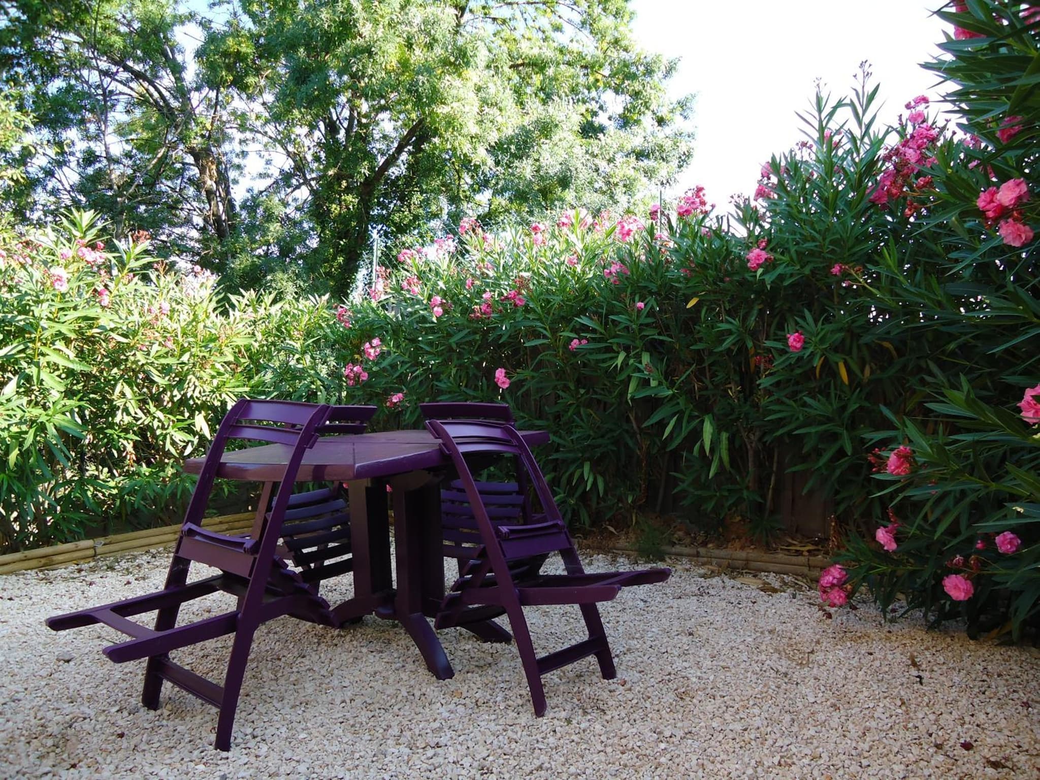 Delaporte photo 3
