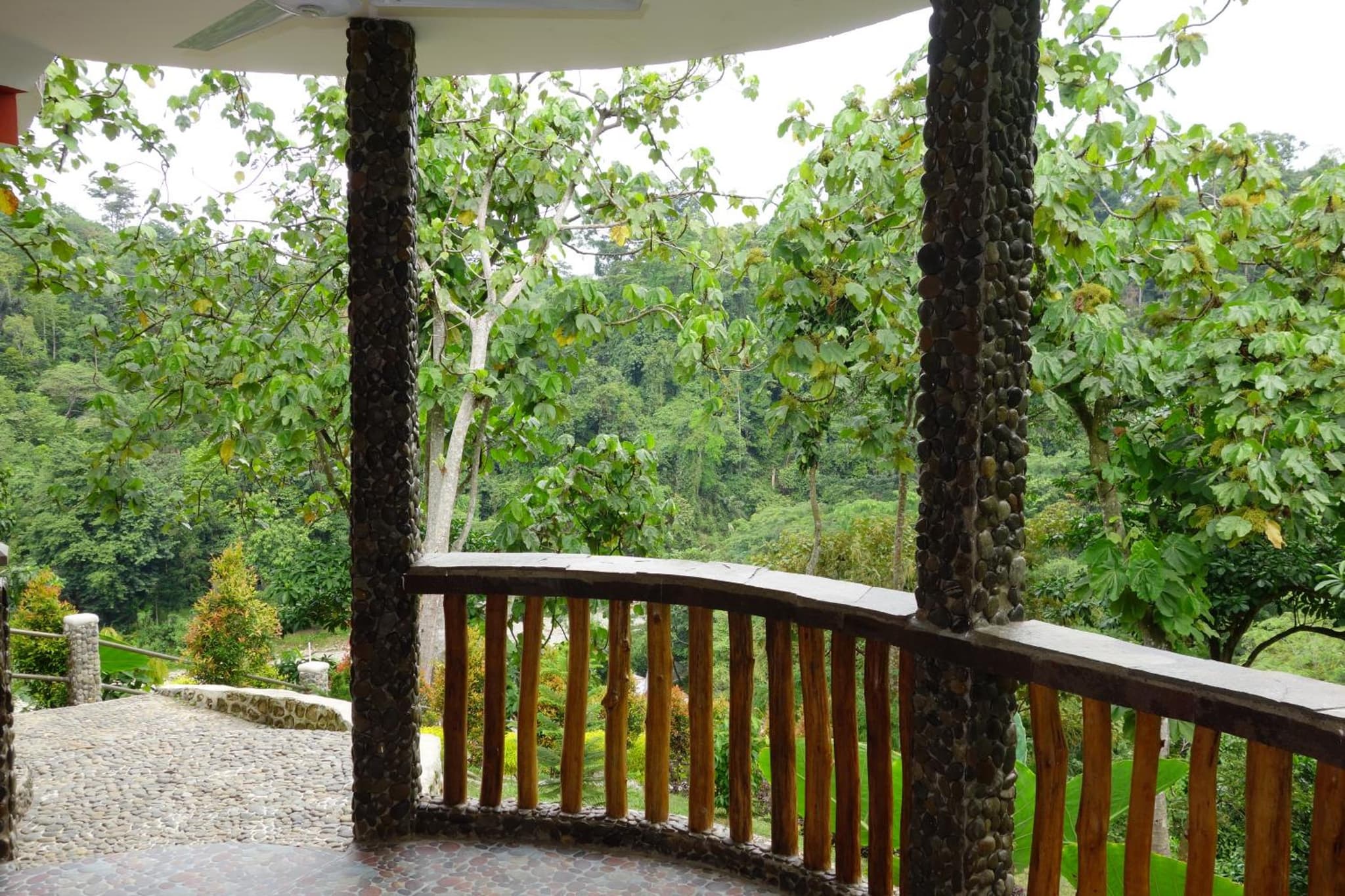 Hotel Orangutan photo 8