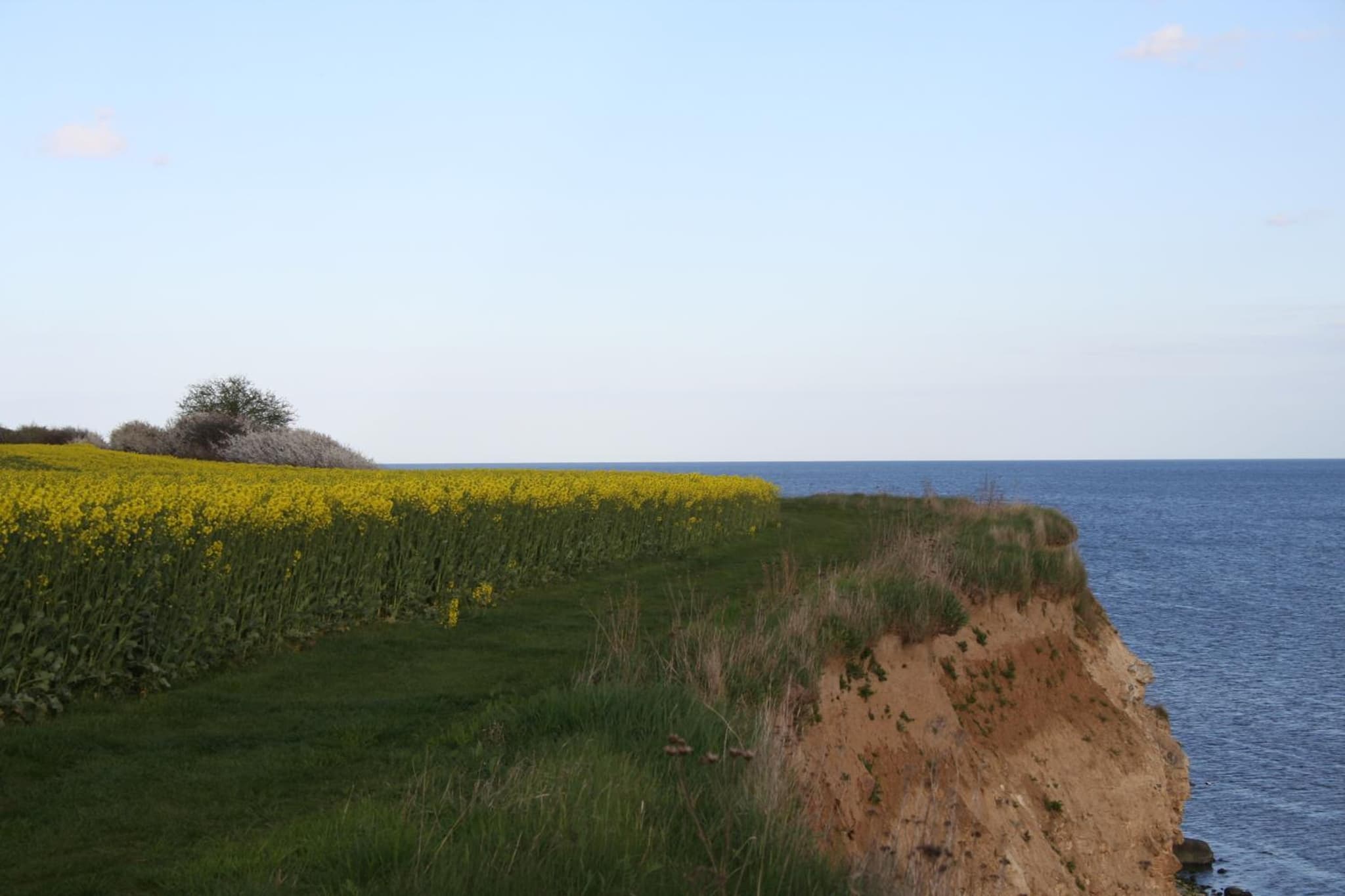 Stevns Klint Strandpension photo 7