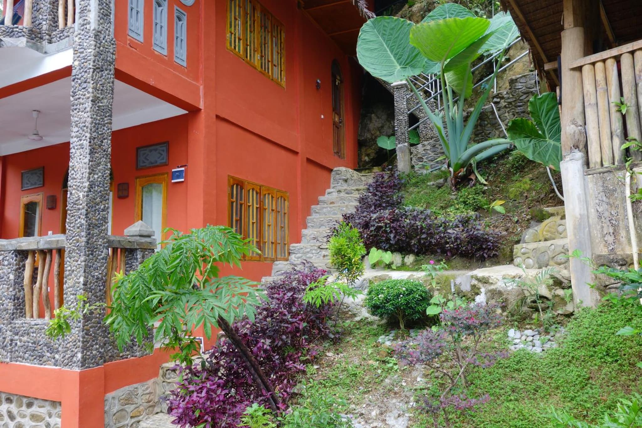 Hotel Orangutan photo 4
