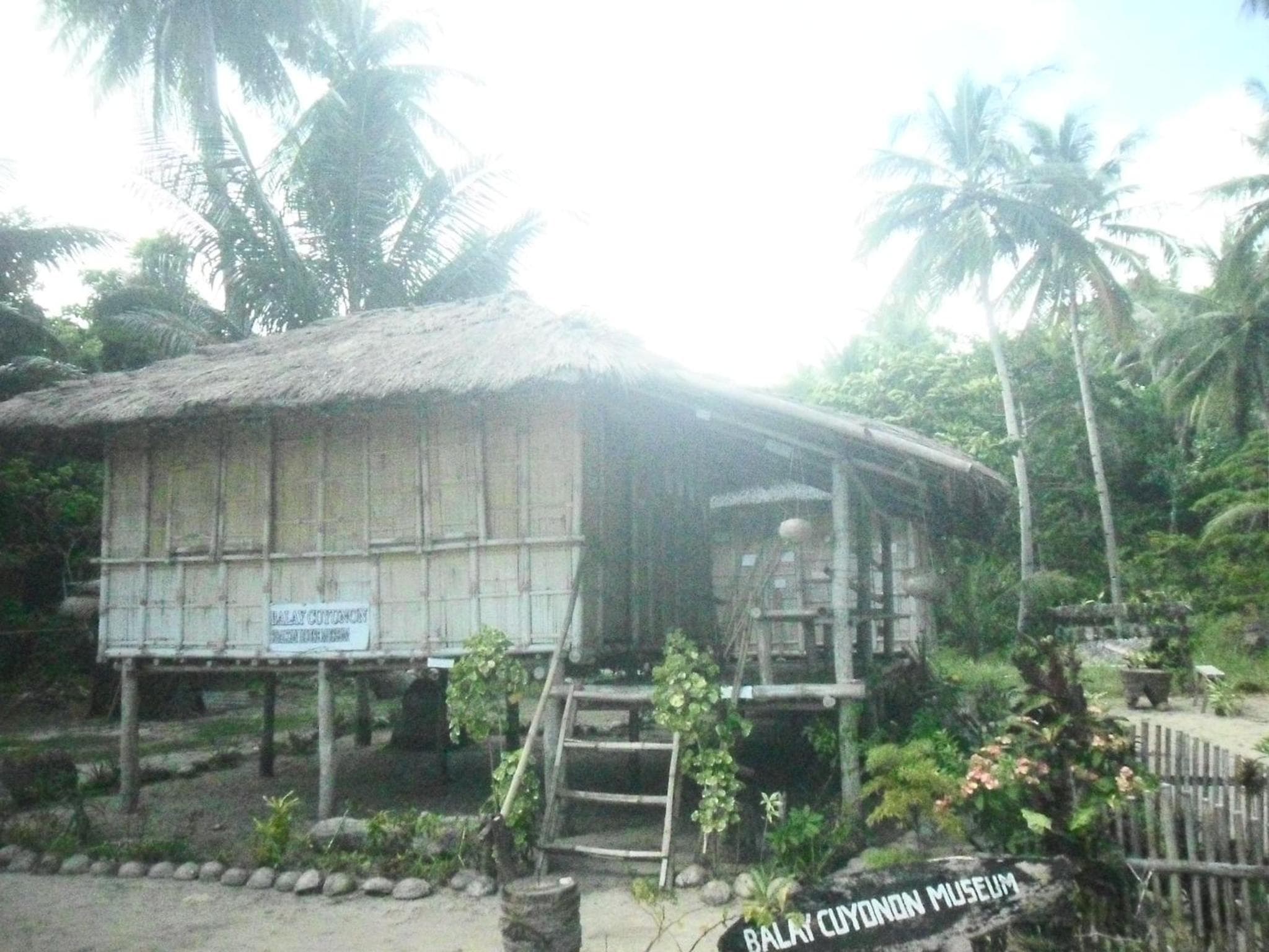 Erlittop Nature Lodge photo 2
