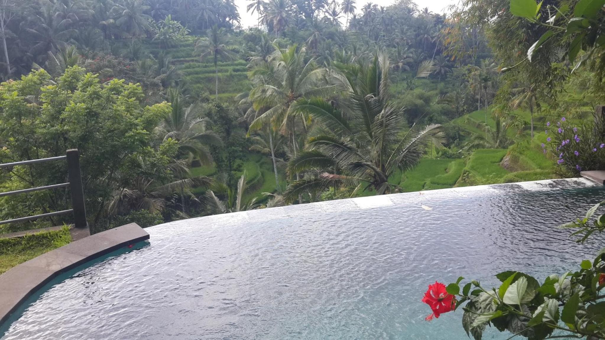 Villa Wedang photo 2