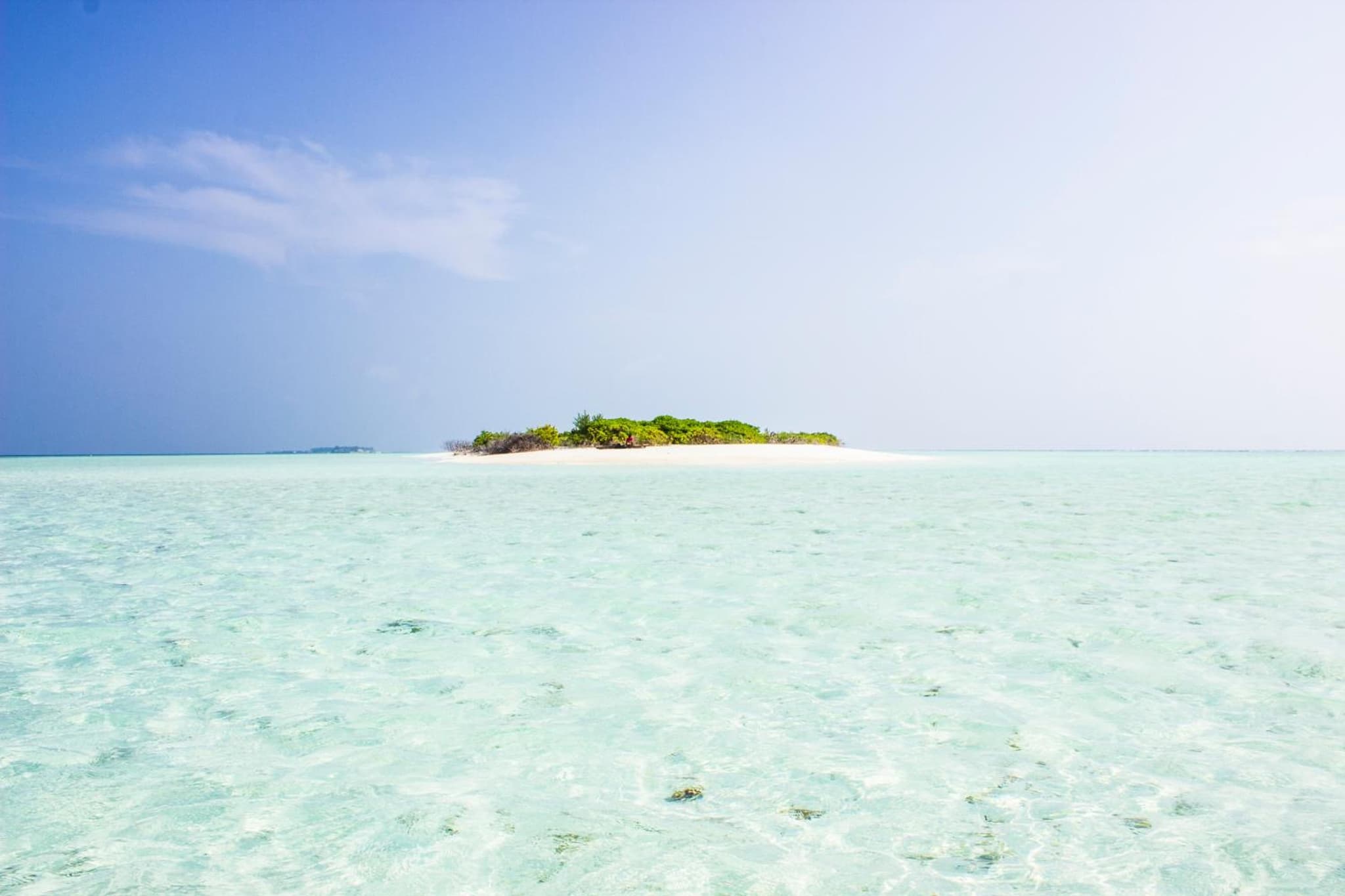 Holiday Cottage Thoddoo, Maldives photo 3