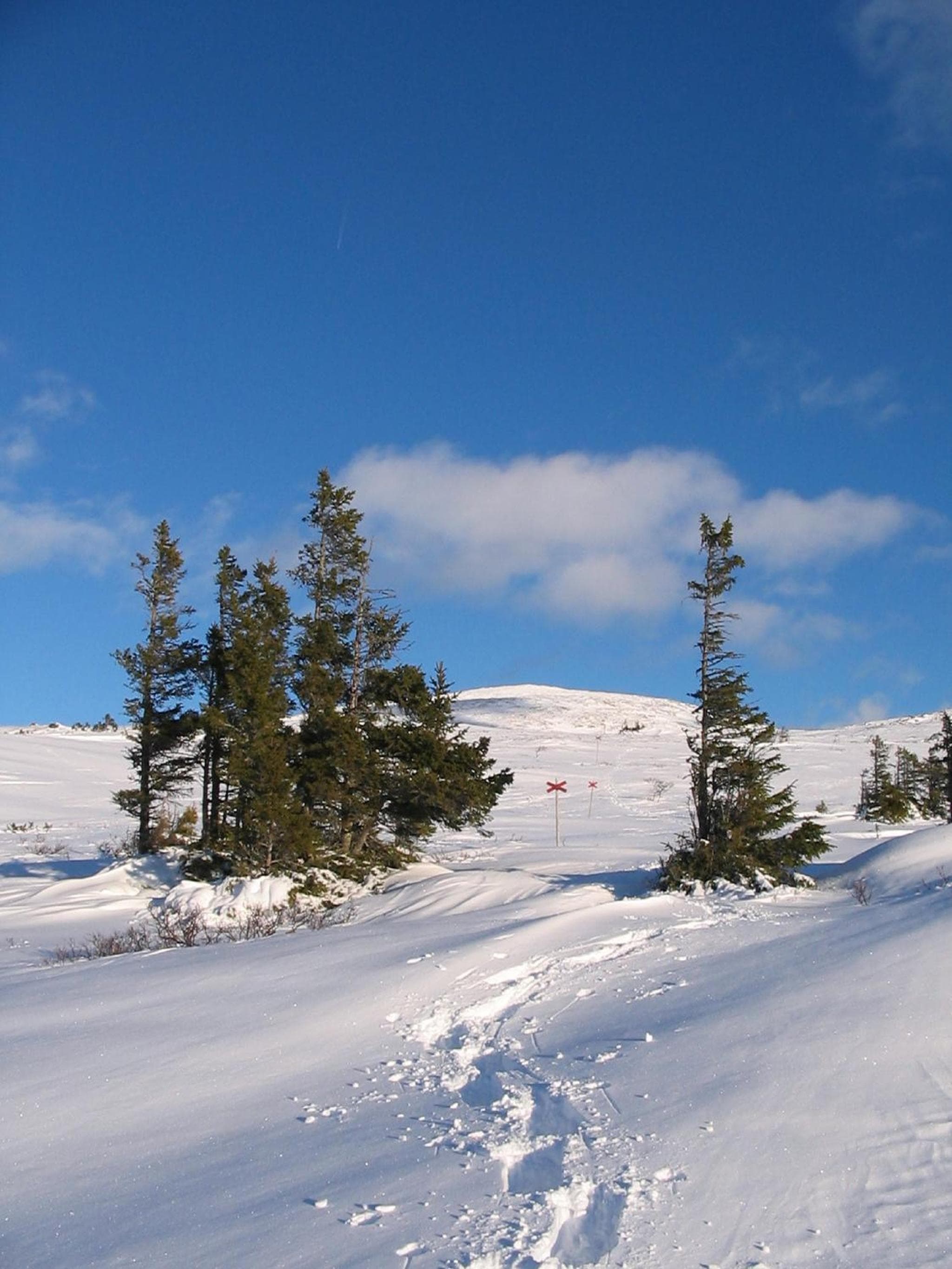 Vålådalens Fjällstation photo 4