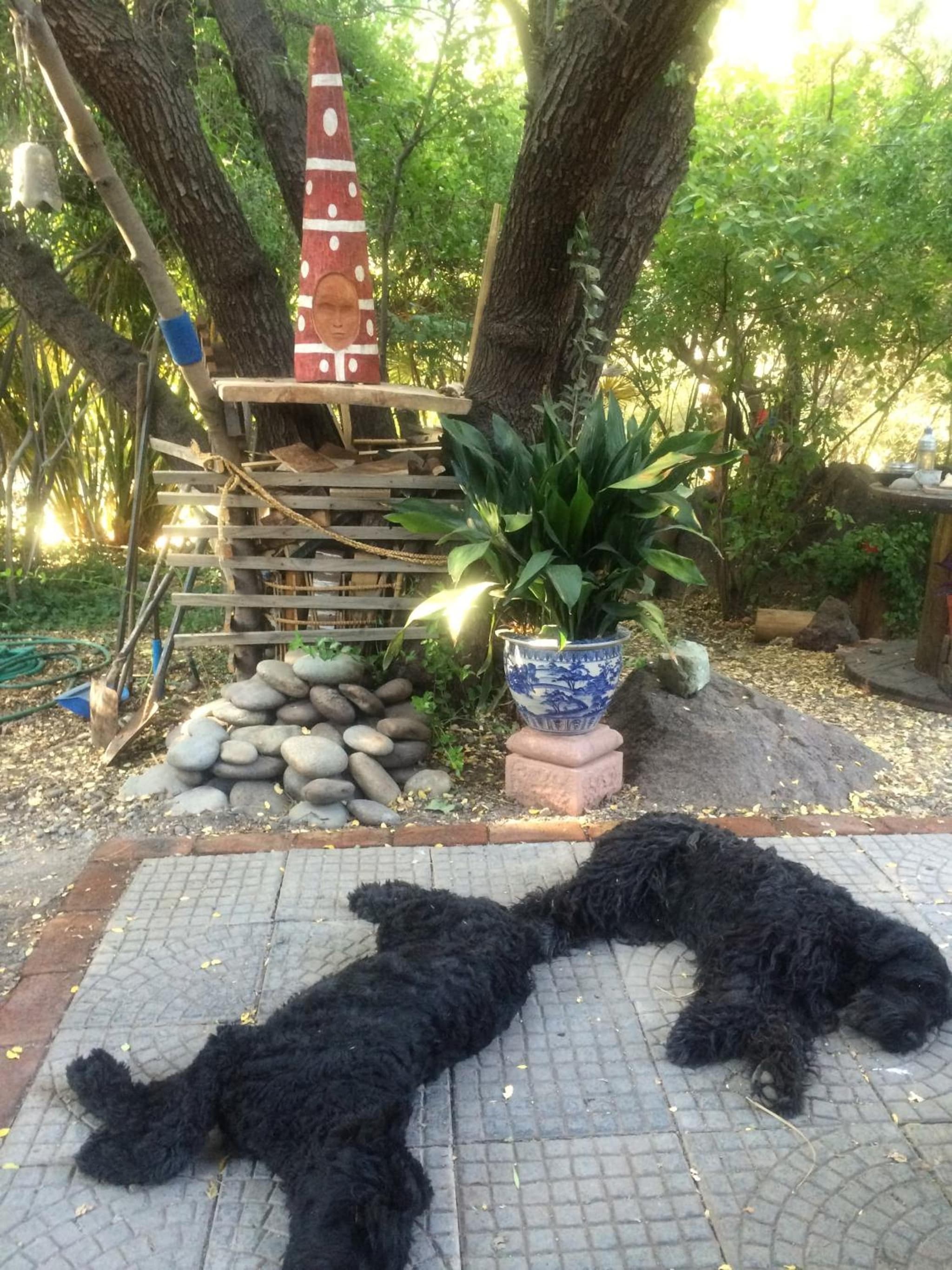 Maipo Shanti Lodge photo 9