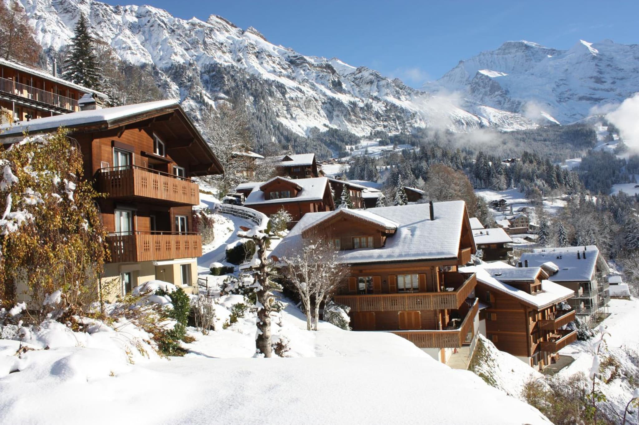 Chalet Gerbera photo 5